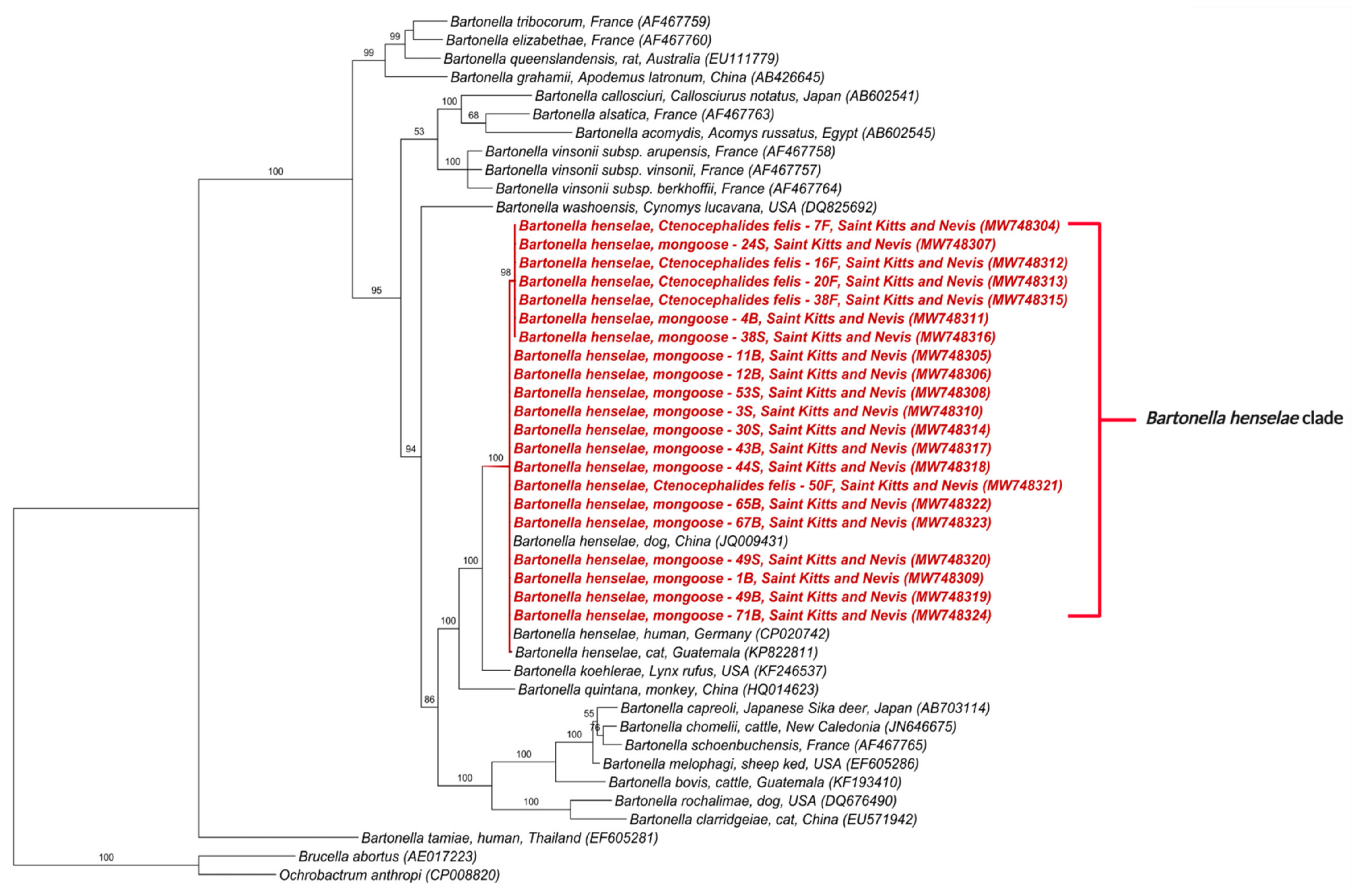 Microorganisms 09 01350 g005