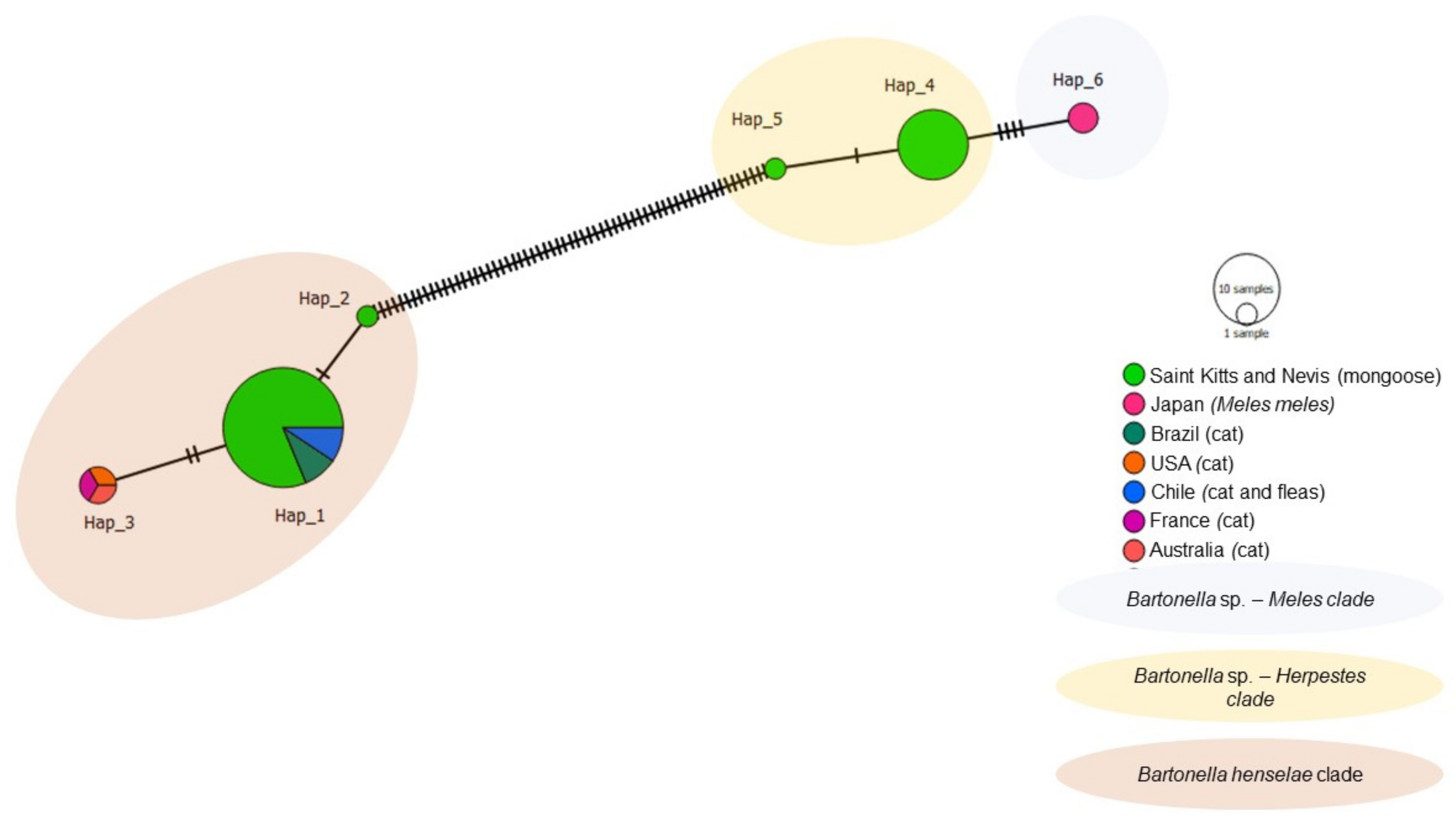 Microorganisms 09 01350 g006