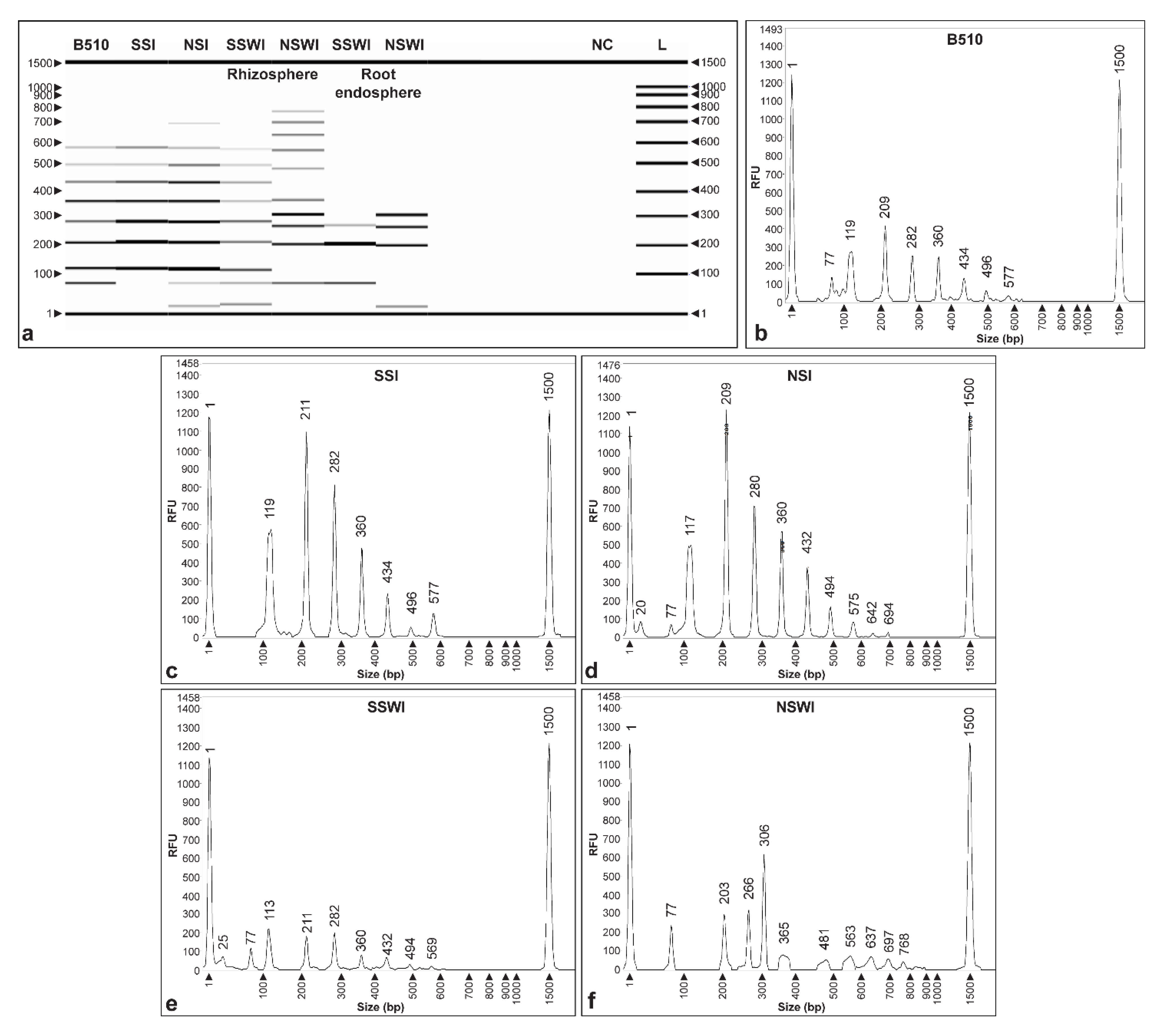 Microorganisms 09 01351 g005