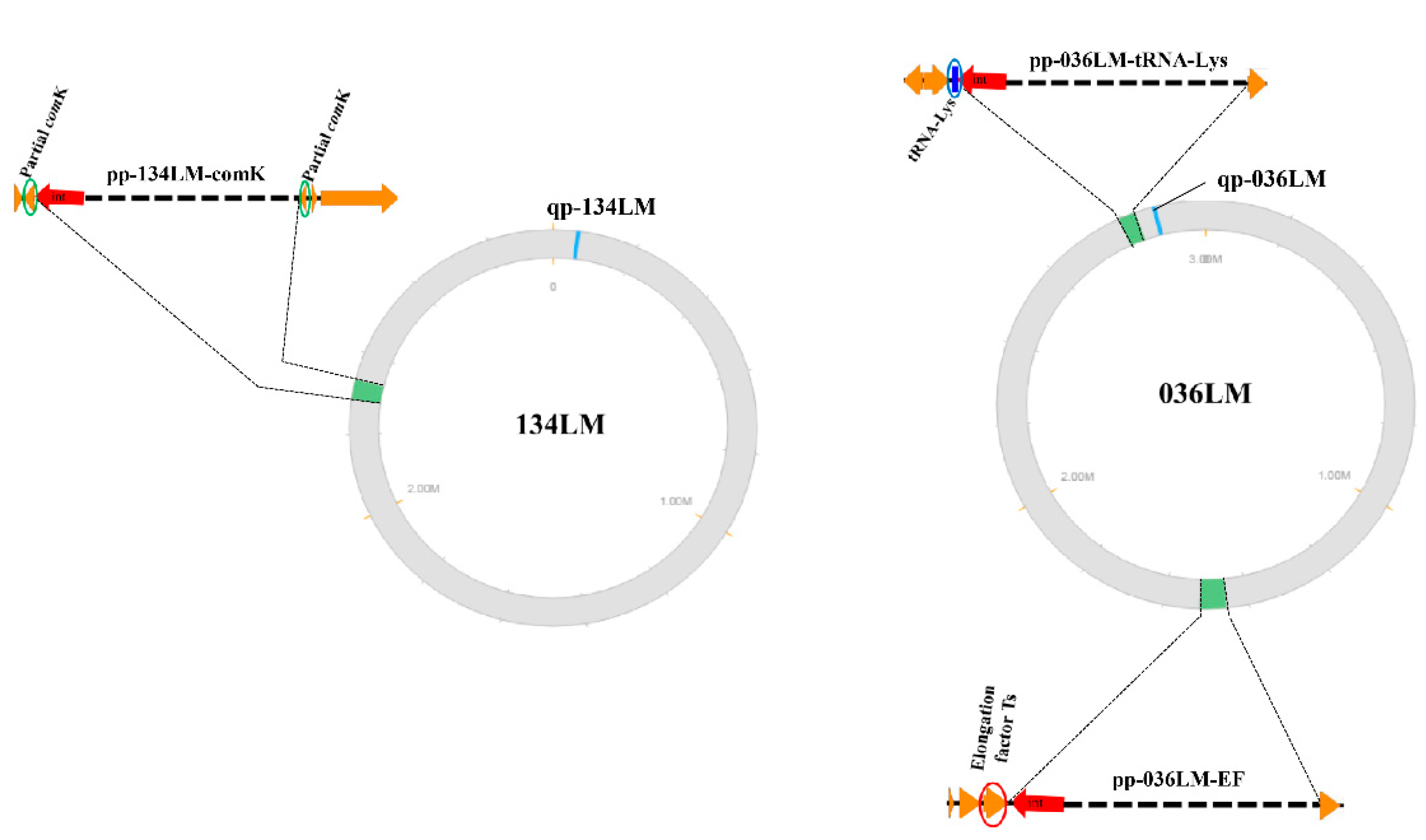 Microorganisms 09 01354 g001 Microorganisms 09 01354 g001
