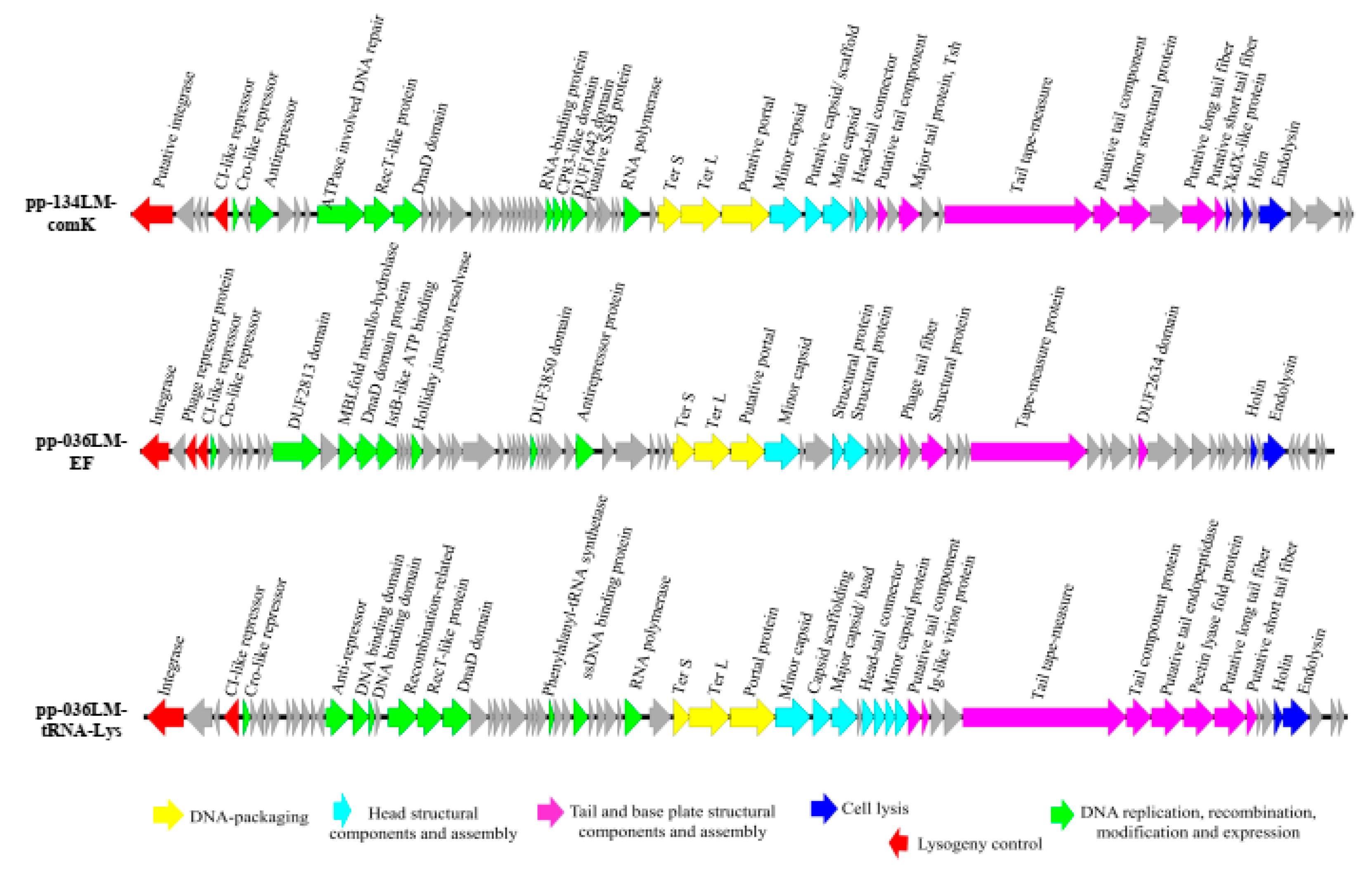 Microorganisms 09 01354 g002 Microorganisms 09 01354 g002