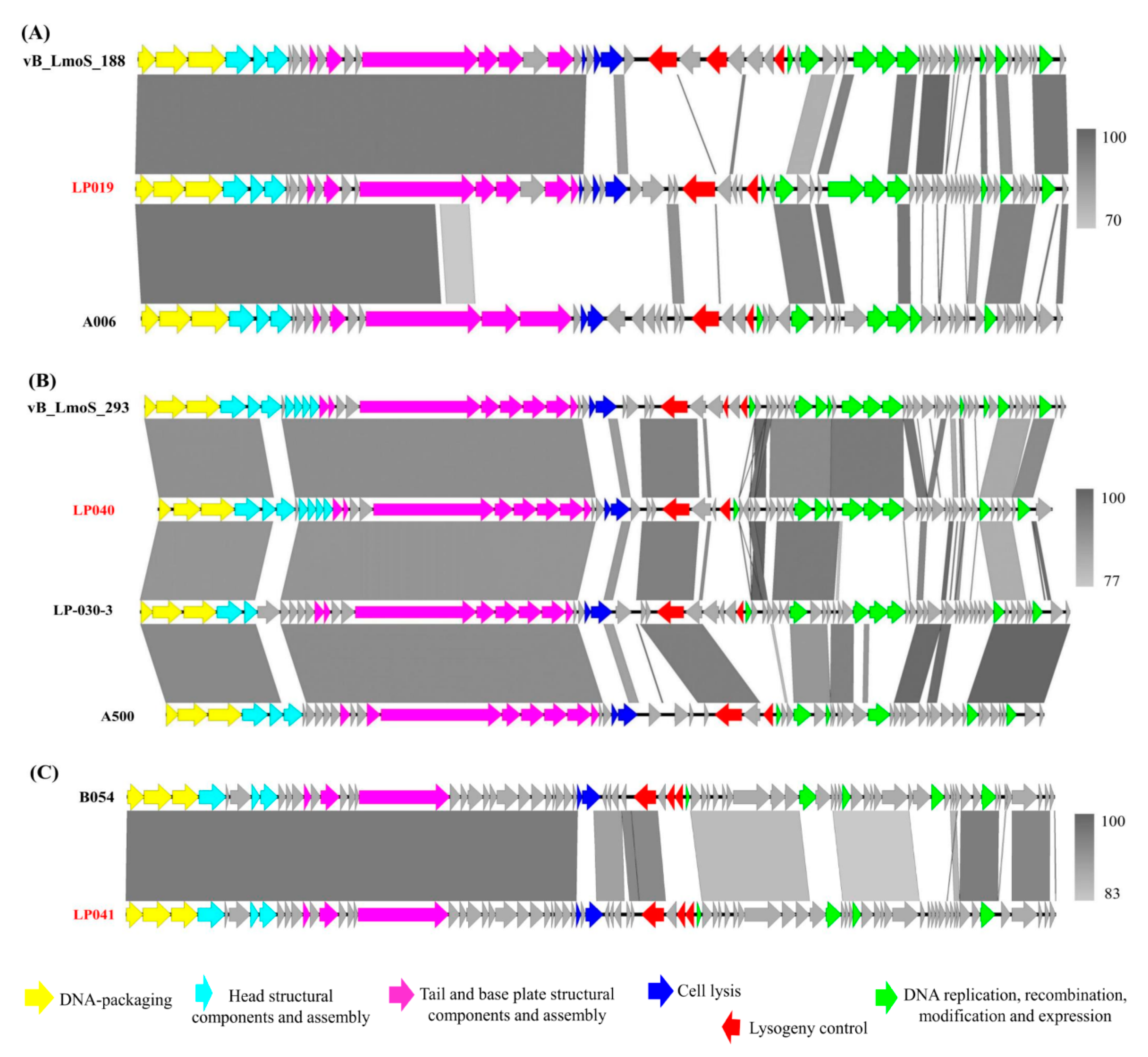 Microorganisms 09 01354 g006 Microorganisms 09 01354 g006