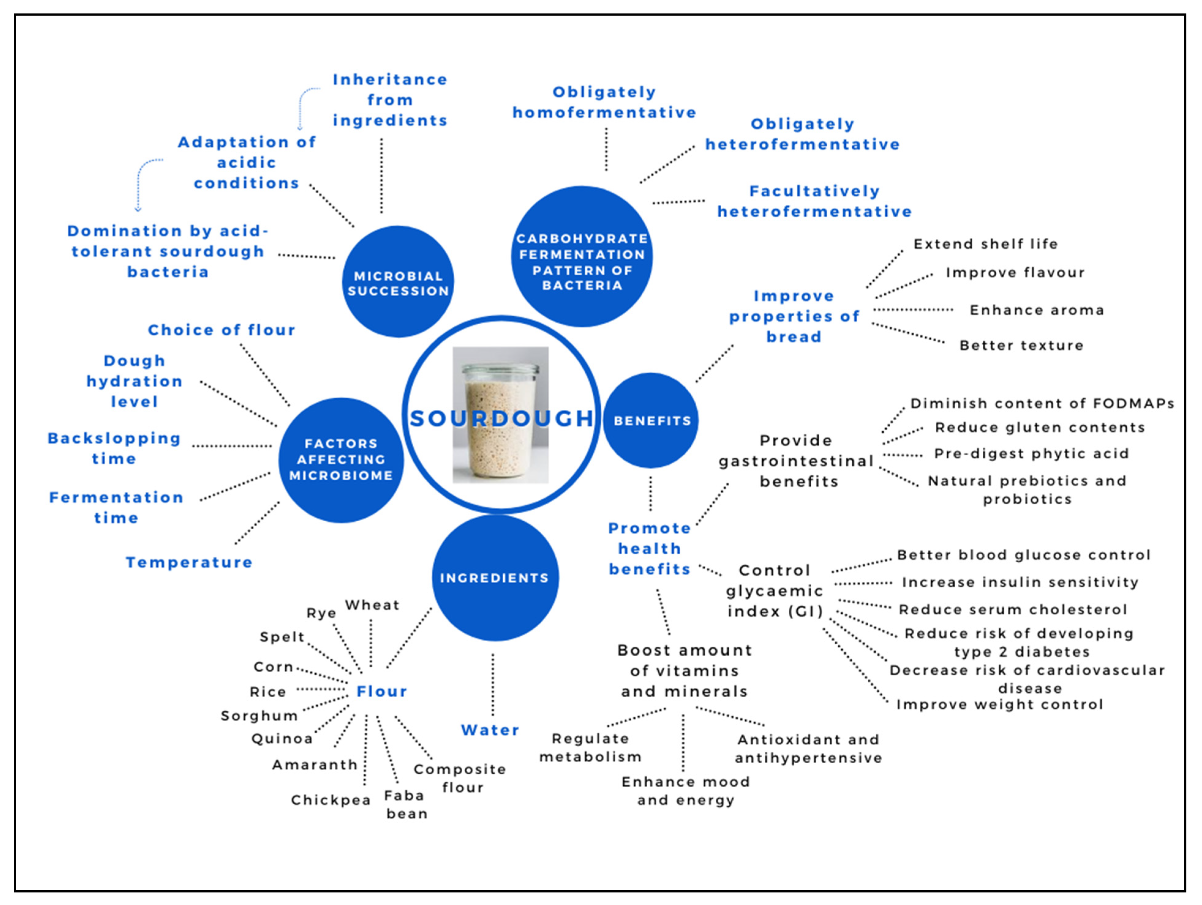 Microorganisms 09 01355 g001