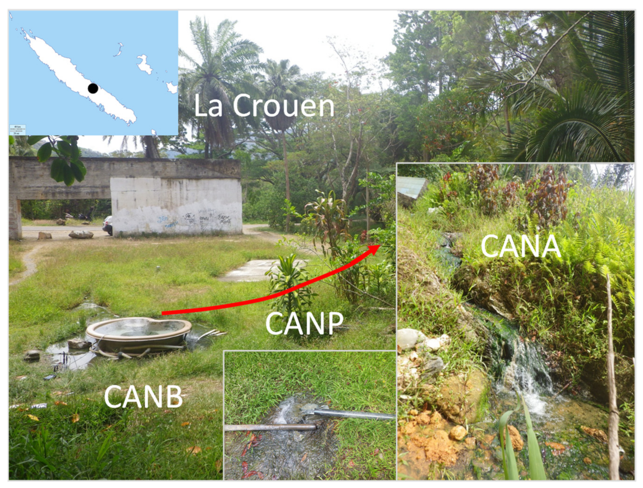 Microorganisms 09 01360 g001 Microorganisms 09 01360 g001