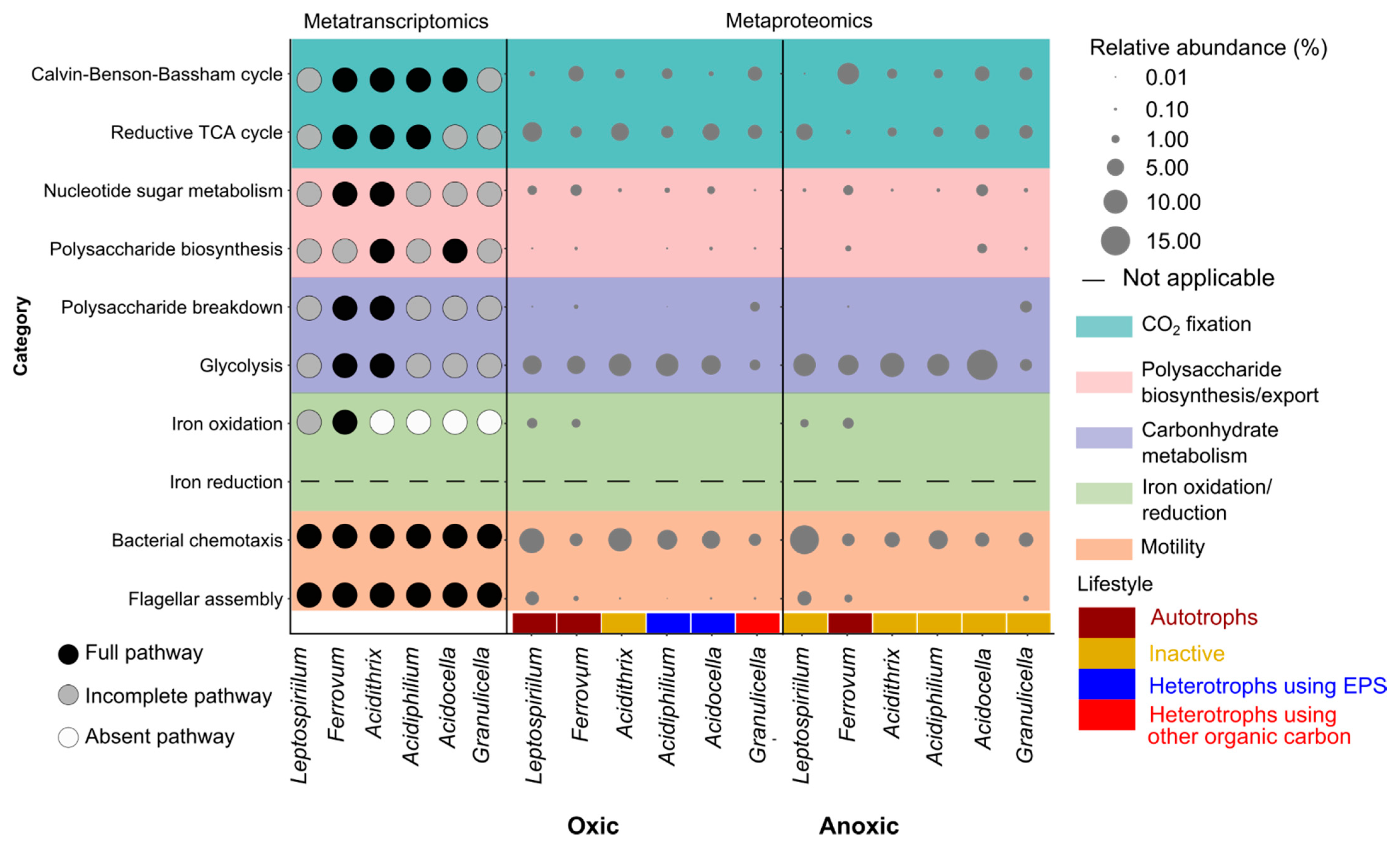Microorganisms 09 01368 g005 Microorganisms 09 01368 g005