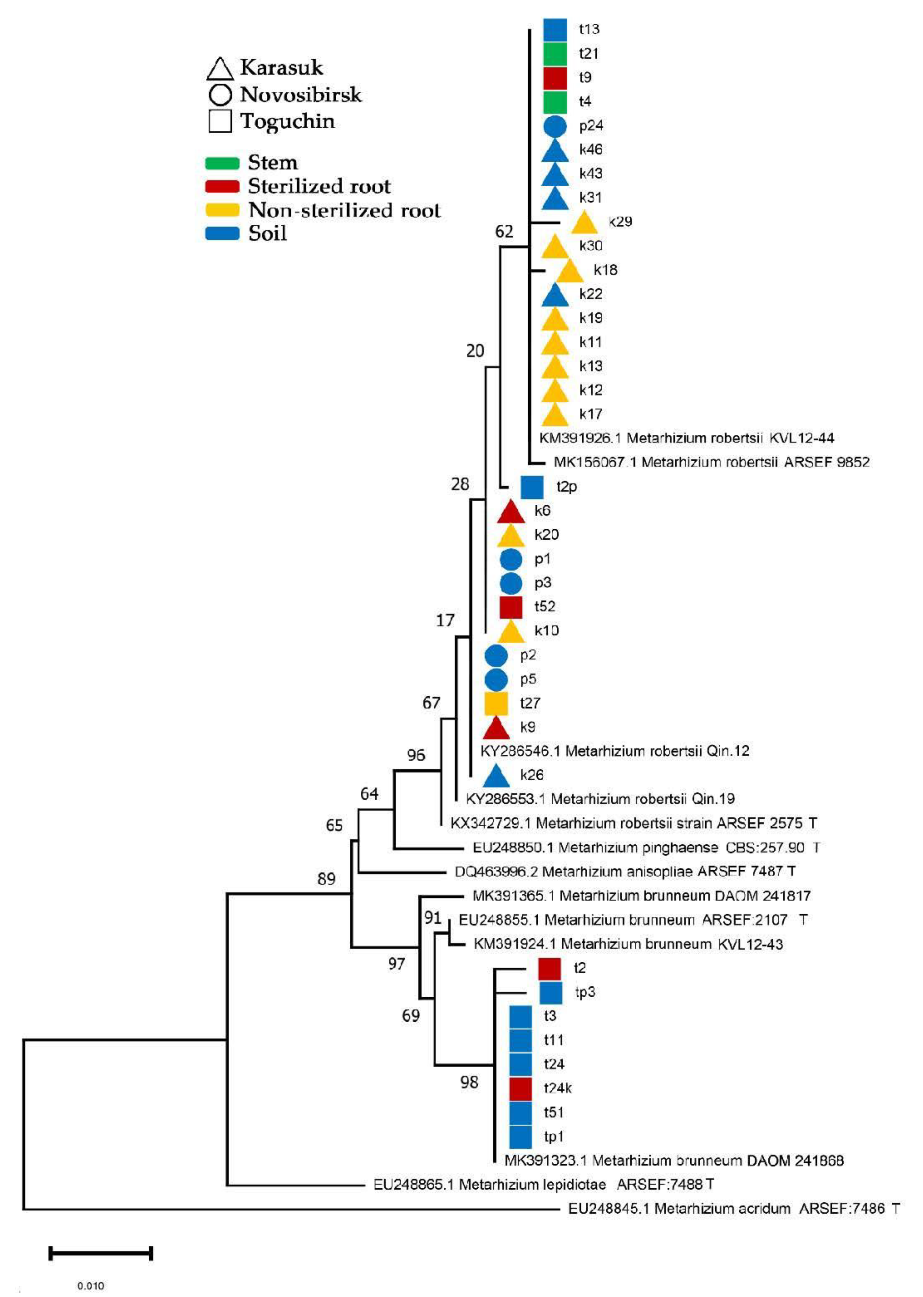 Microorganisms 09 01373 g004