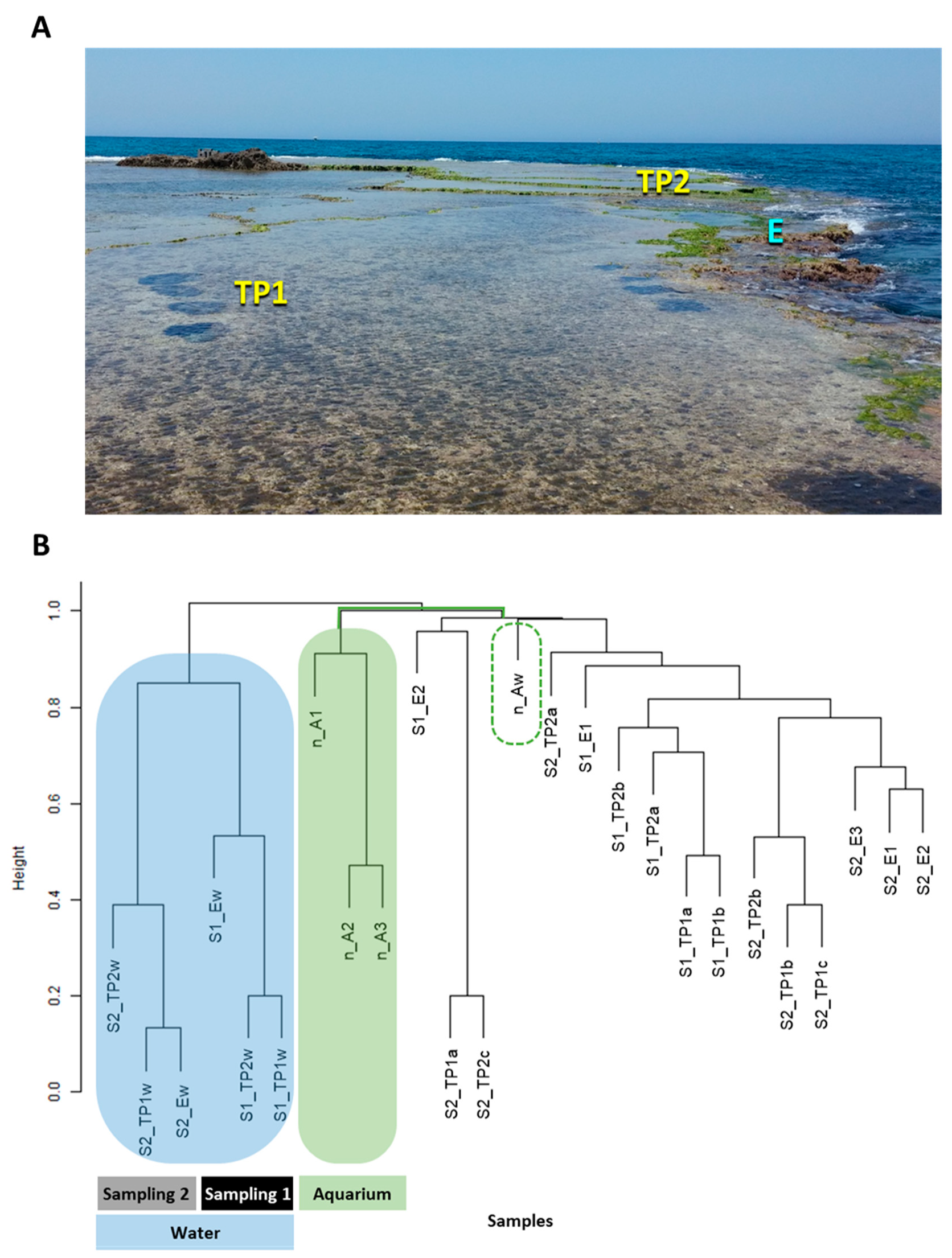 Microorganisms 09 01374 g001 Microorganisms 09 01374 g001