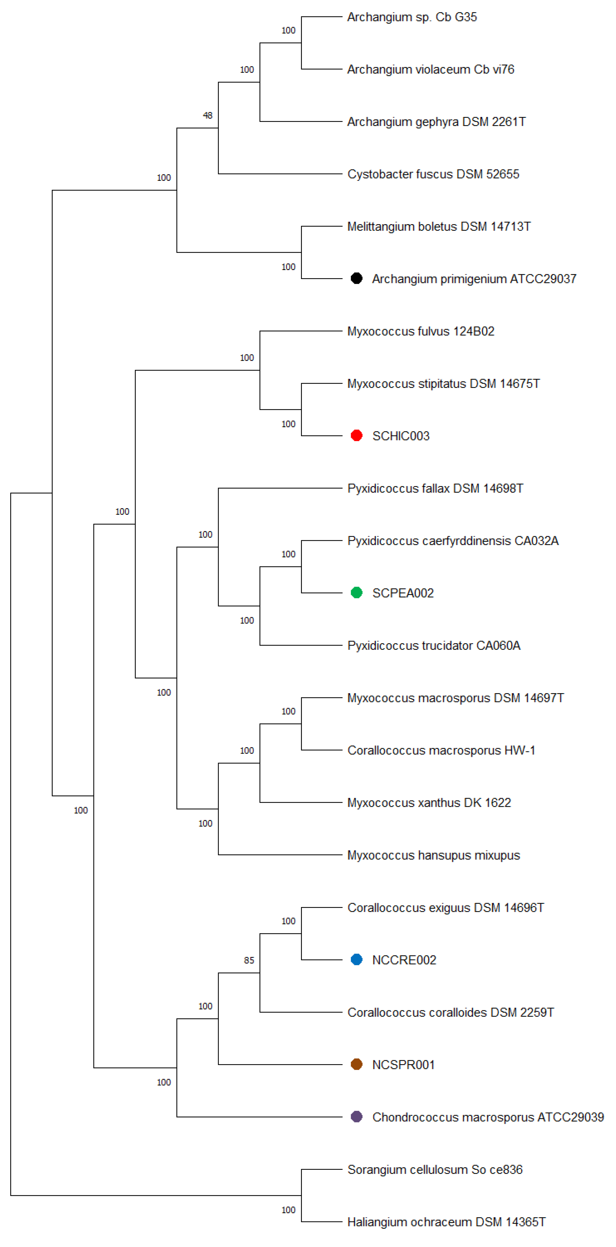 Microorganisms 09 01376 g002