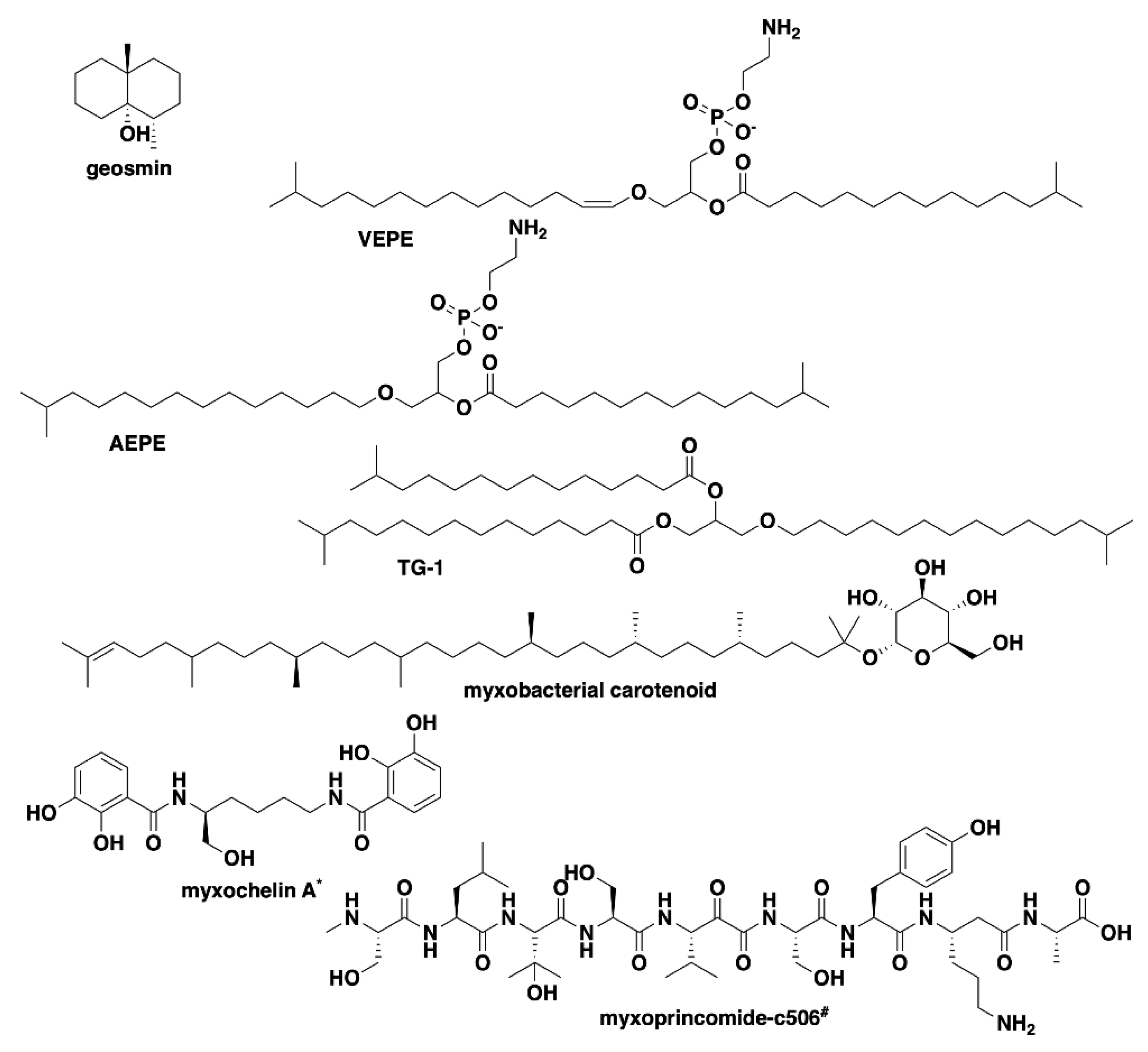 Microorganisms 09 01376 g003