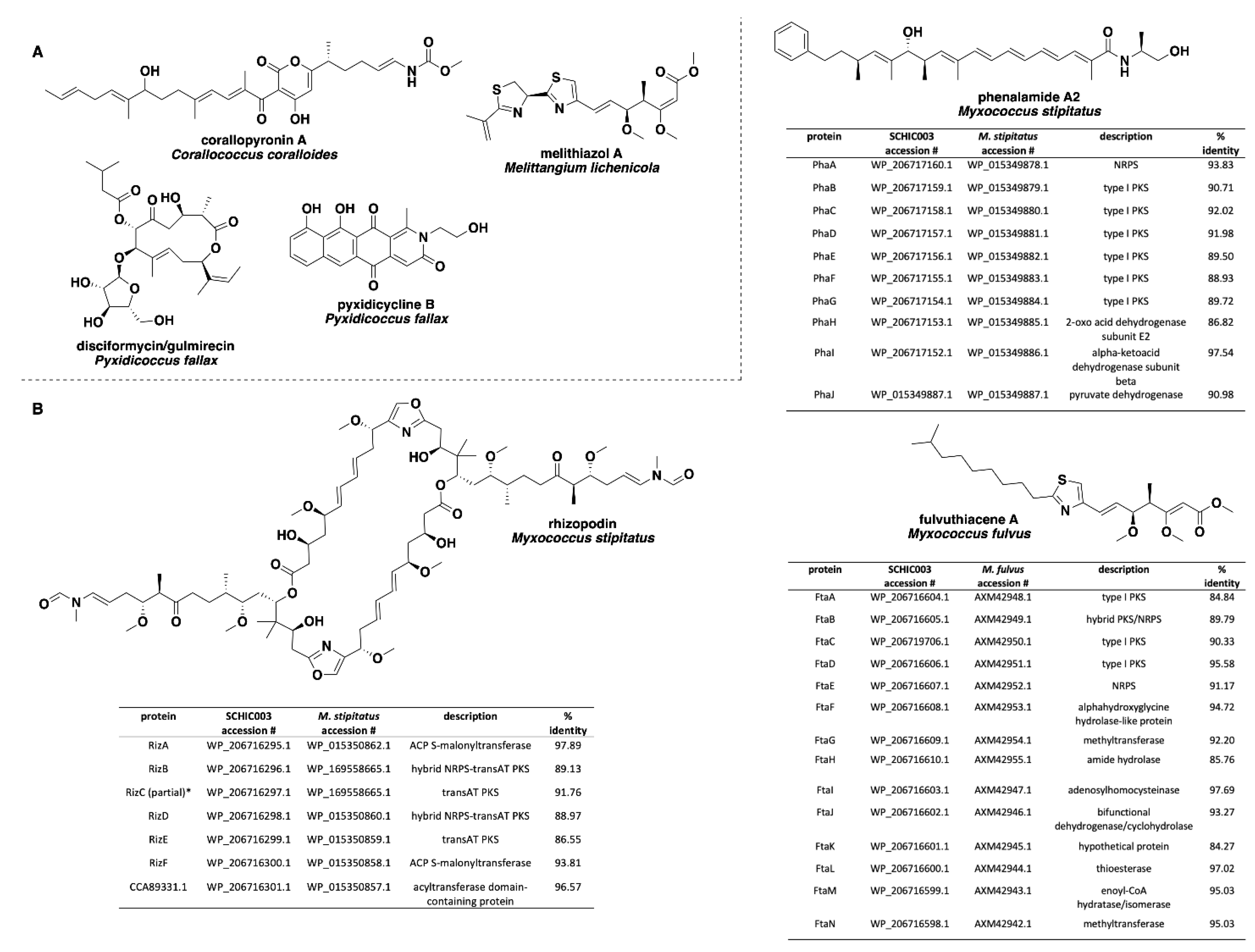 Microorganisms 09 01376 g004
