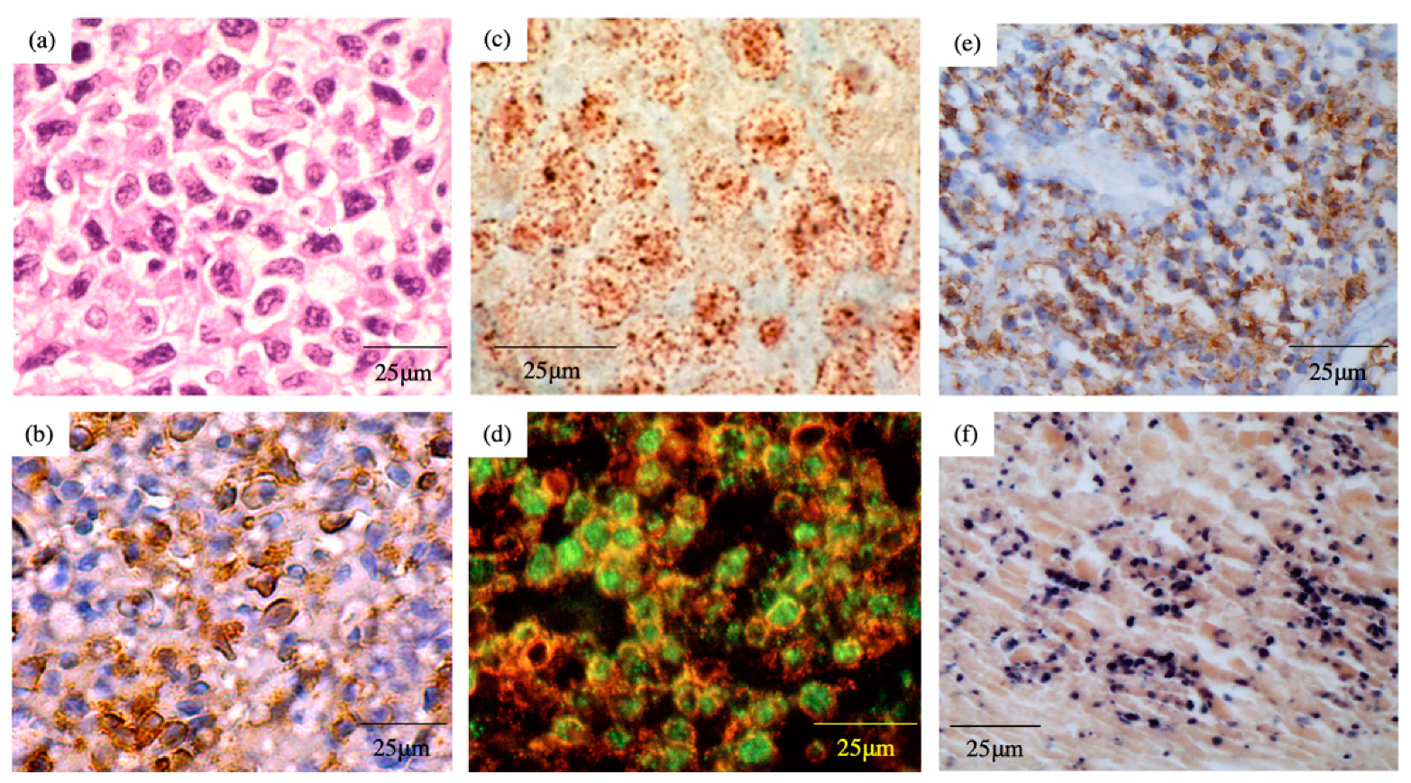 Microorganisms 09 01381 g002 Microorganisms 09 01381 g002