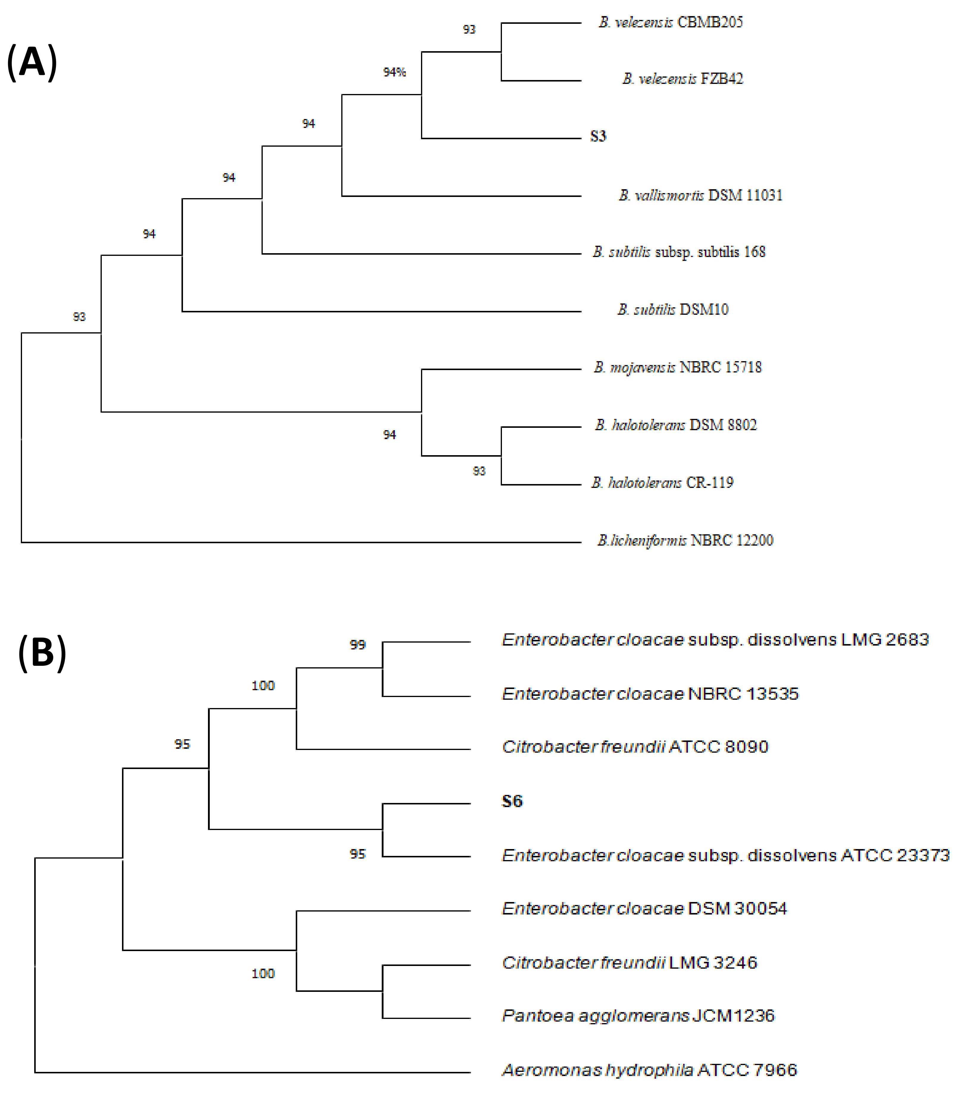 Microorganisms 09 01386 g002