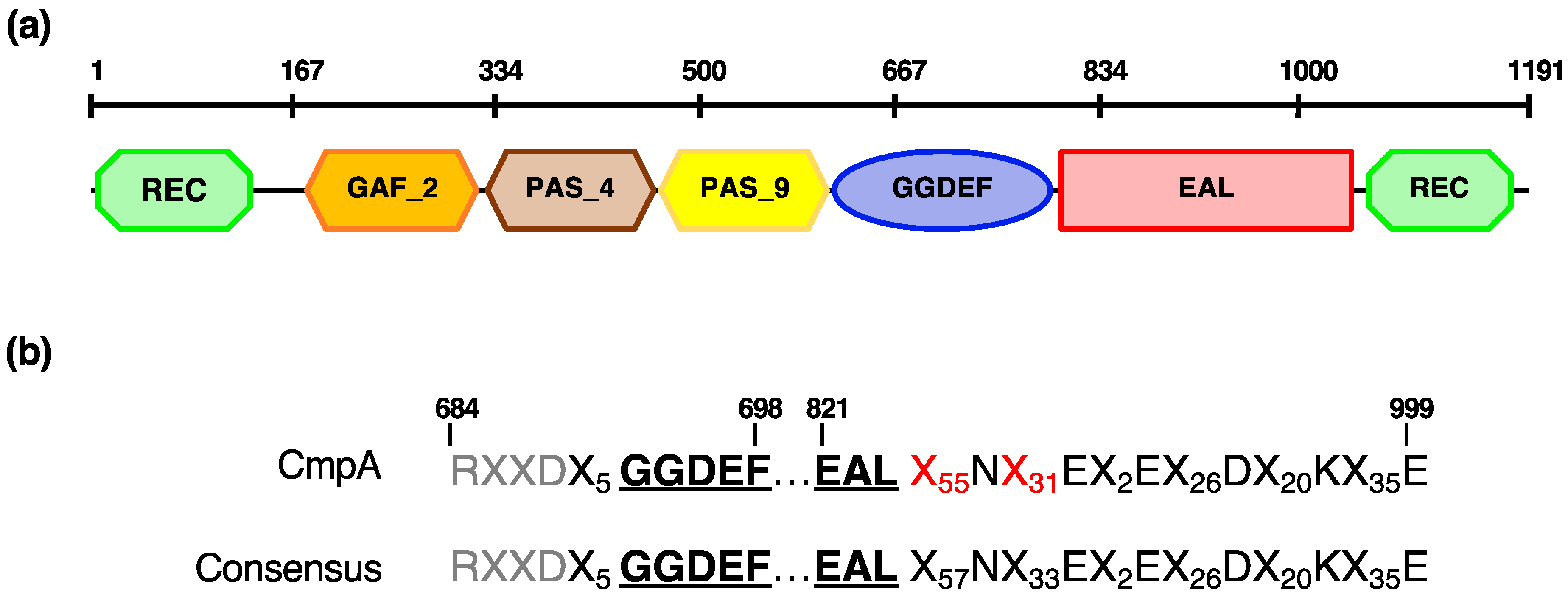 Microorganisms 09 01388 g003