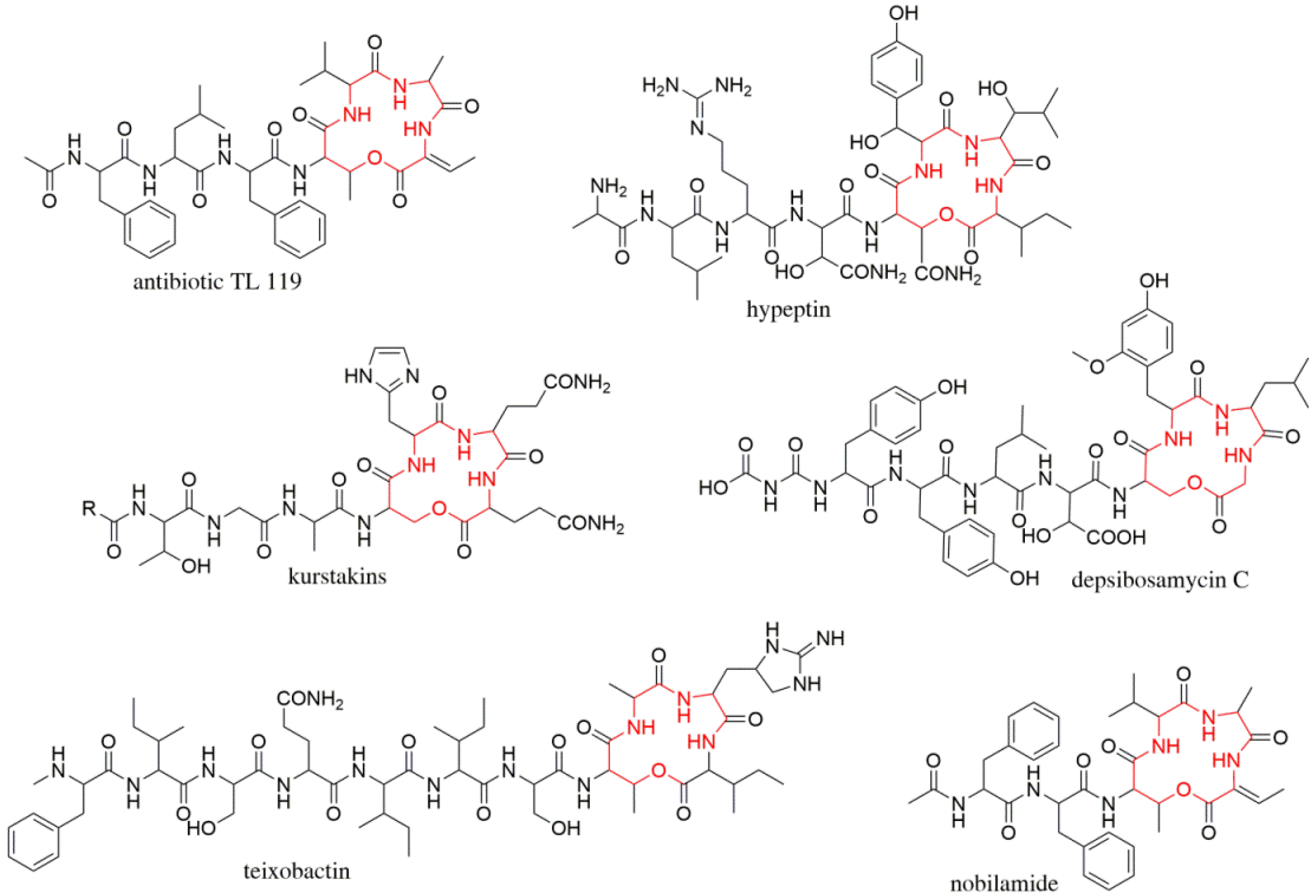 Microorganisms 09 01396 g001 550
