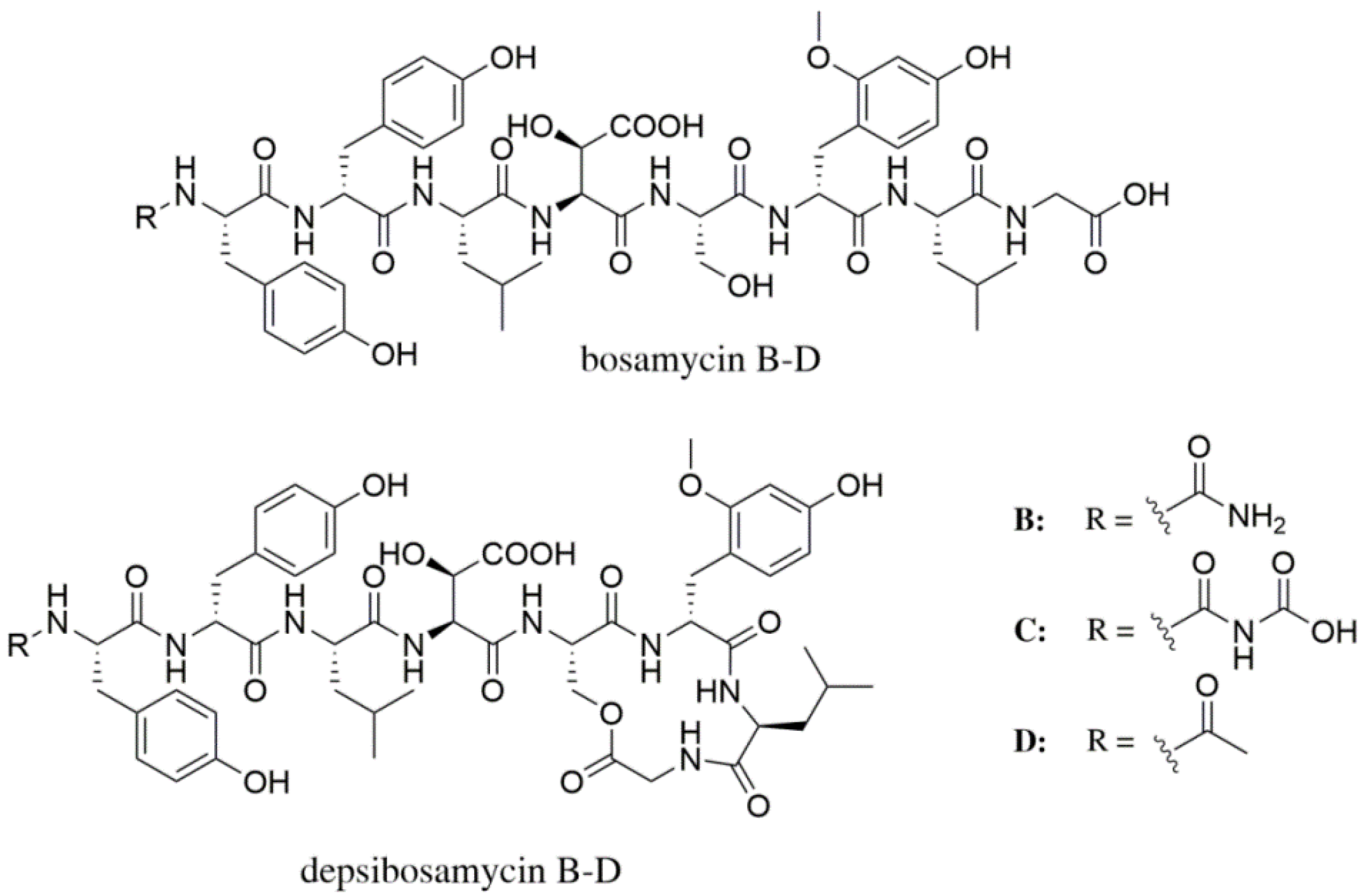 Microorganisms 09 01396 g003 550