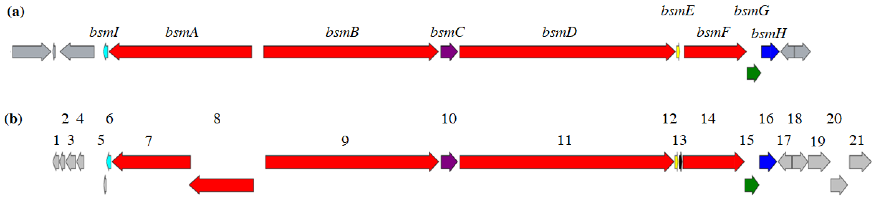 Microorganisms 09 01396 g004 550