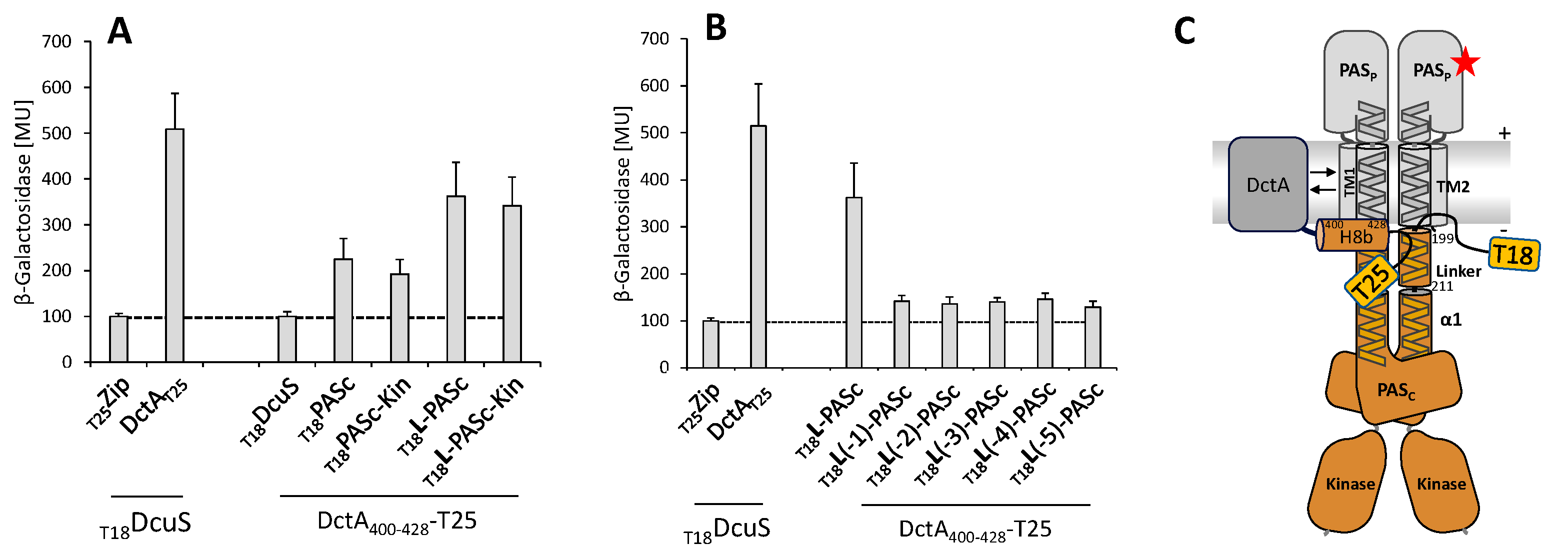 Microorganisms 09 01397 g001