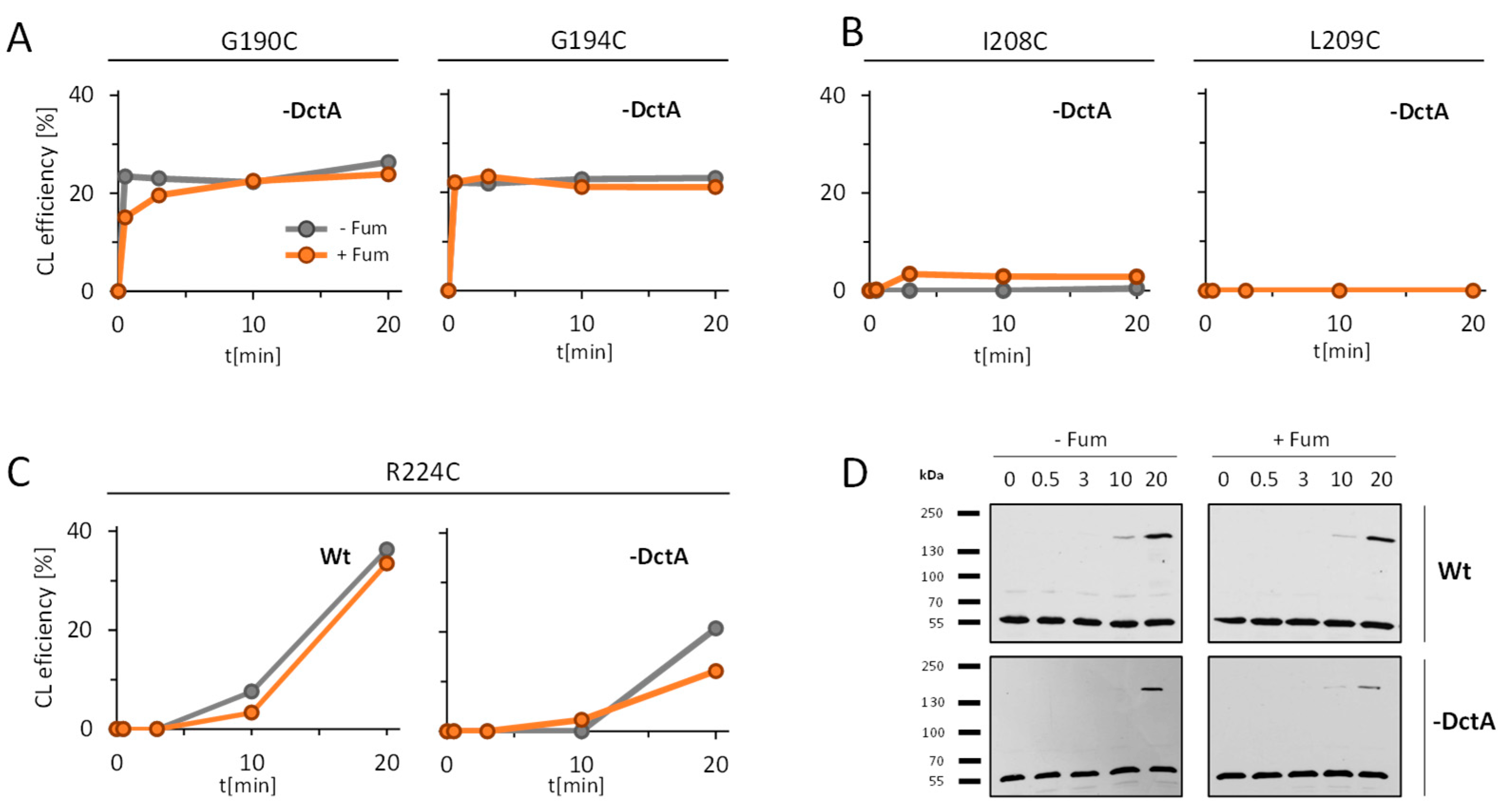 Microorganisms 09 01397 g002