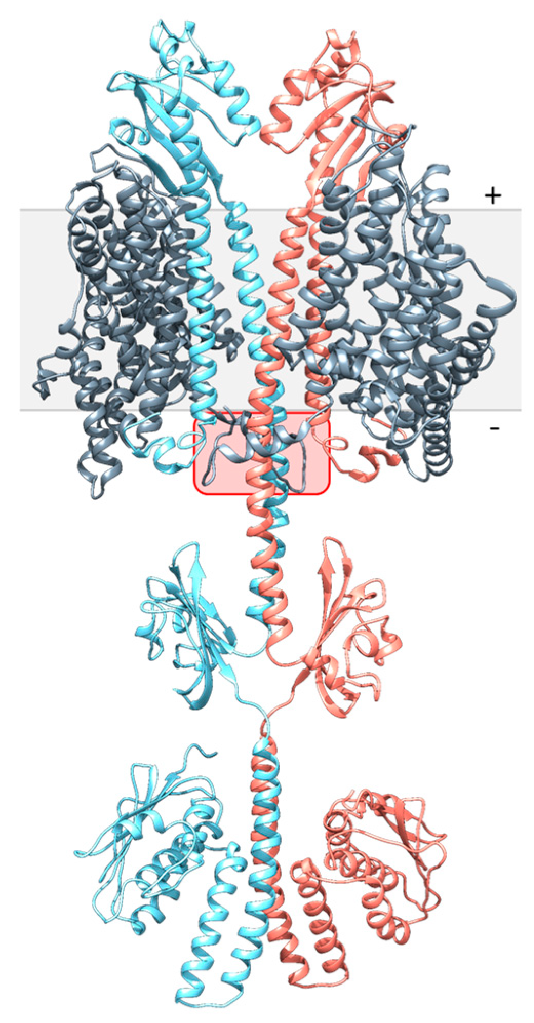 Microorganisms 09 01397 g003