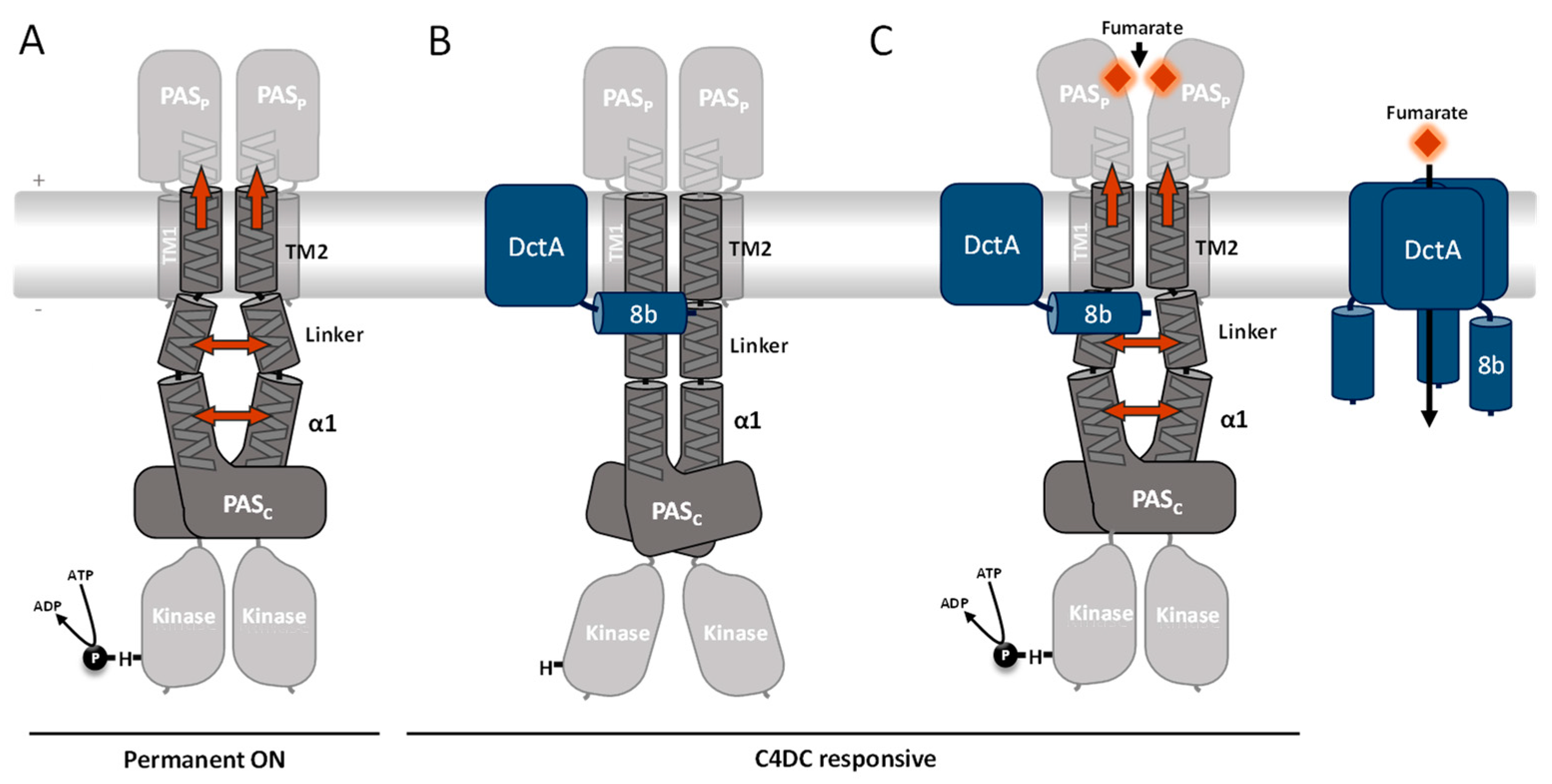 Microorganisms 09 01397 g006