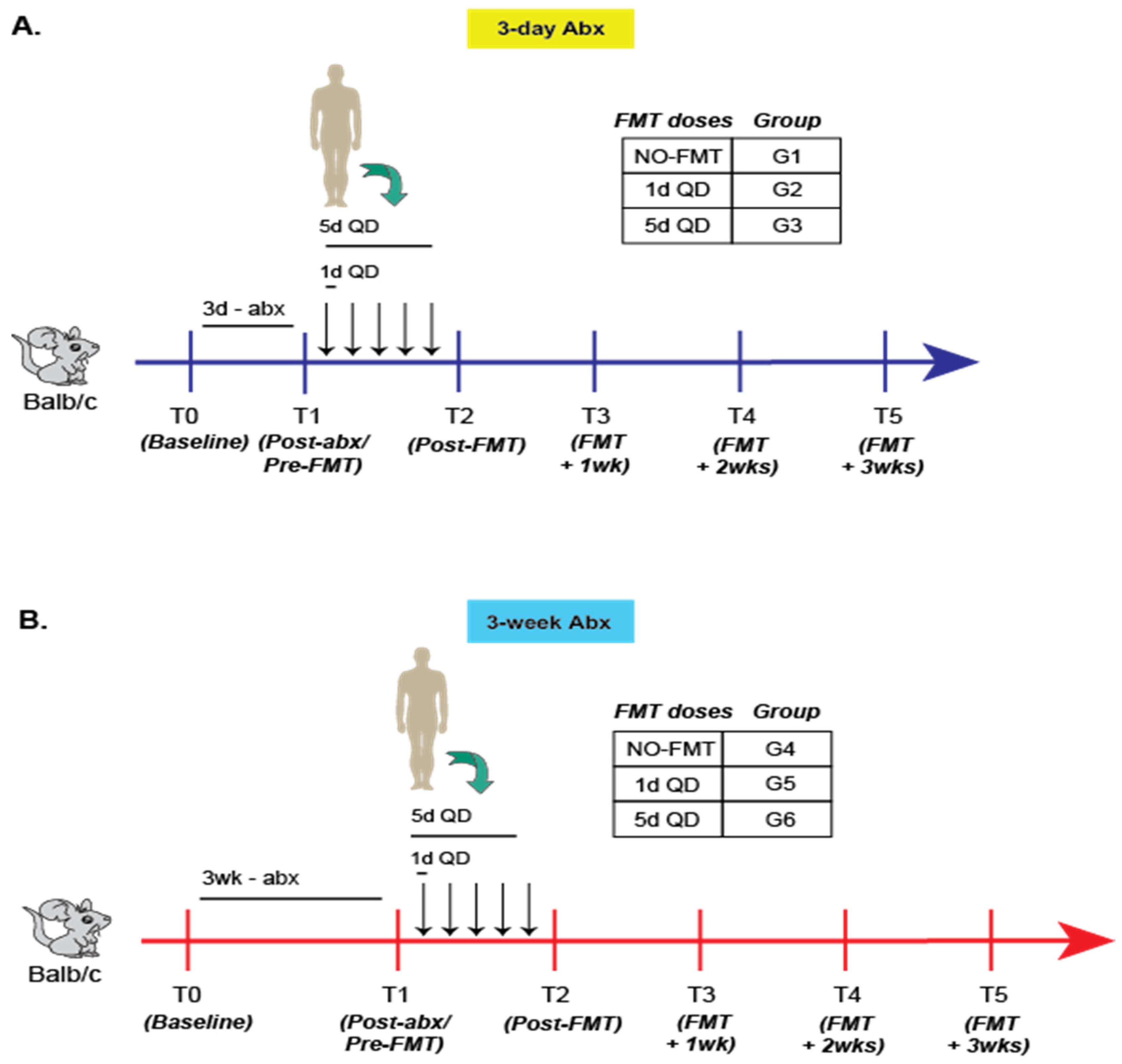 Microorganisms 09 01399 g001
