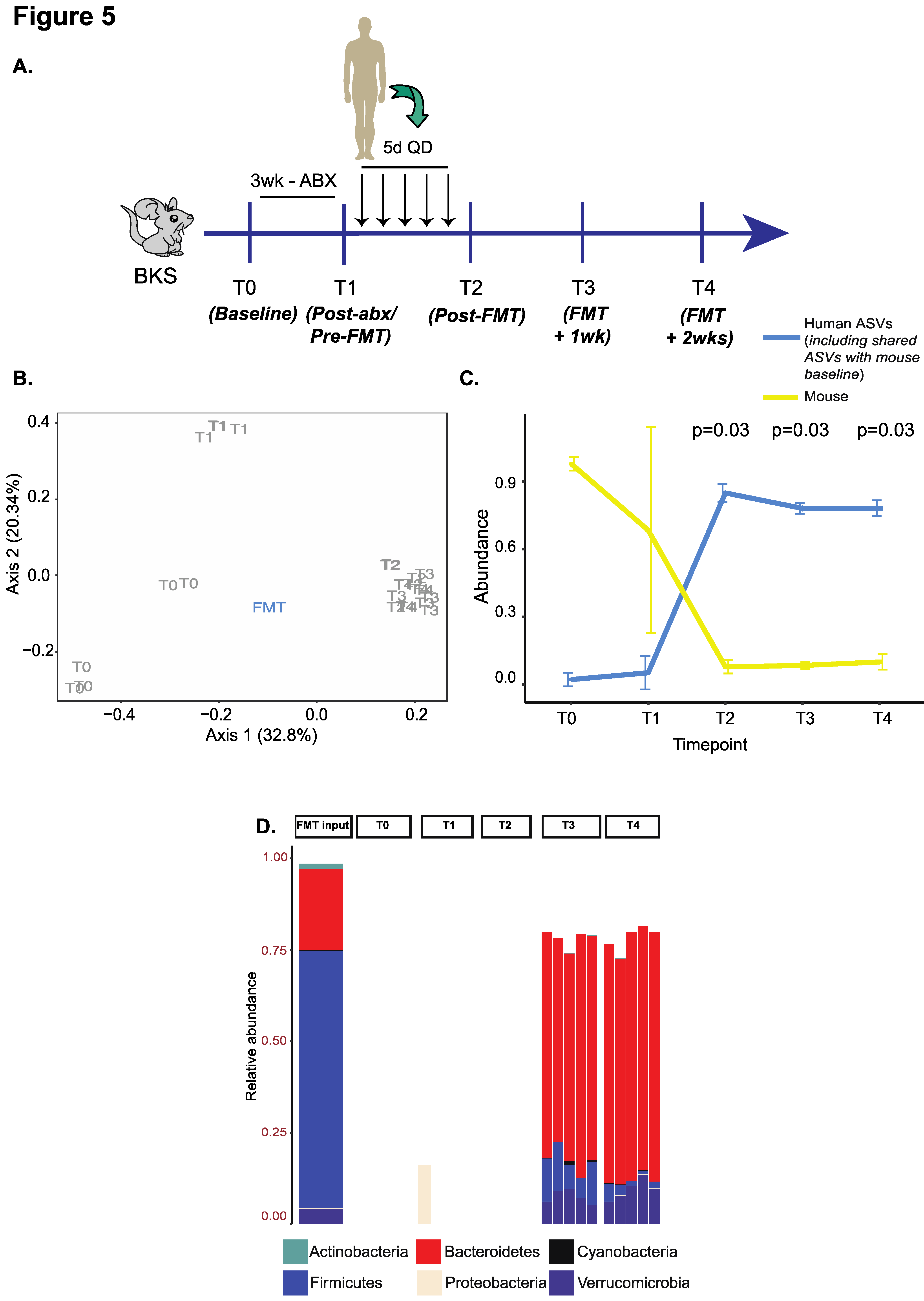 Microorganisms 09 01399 g005