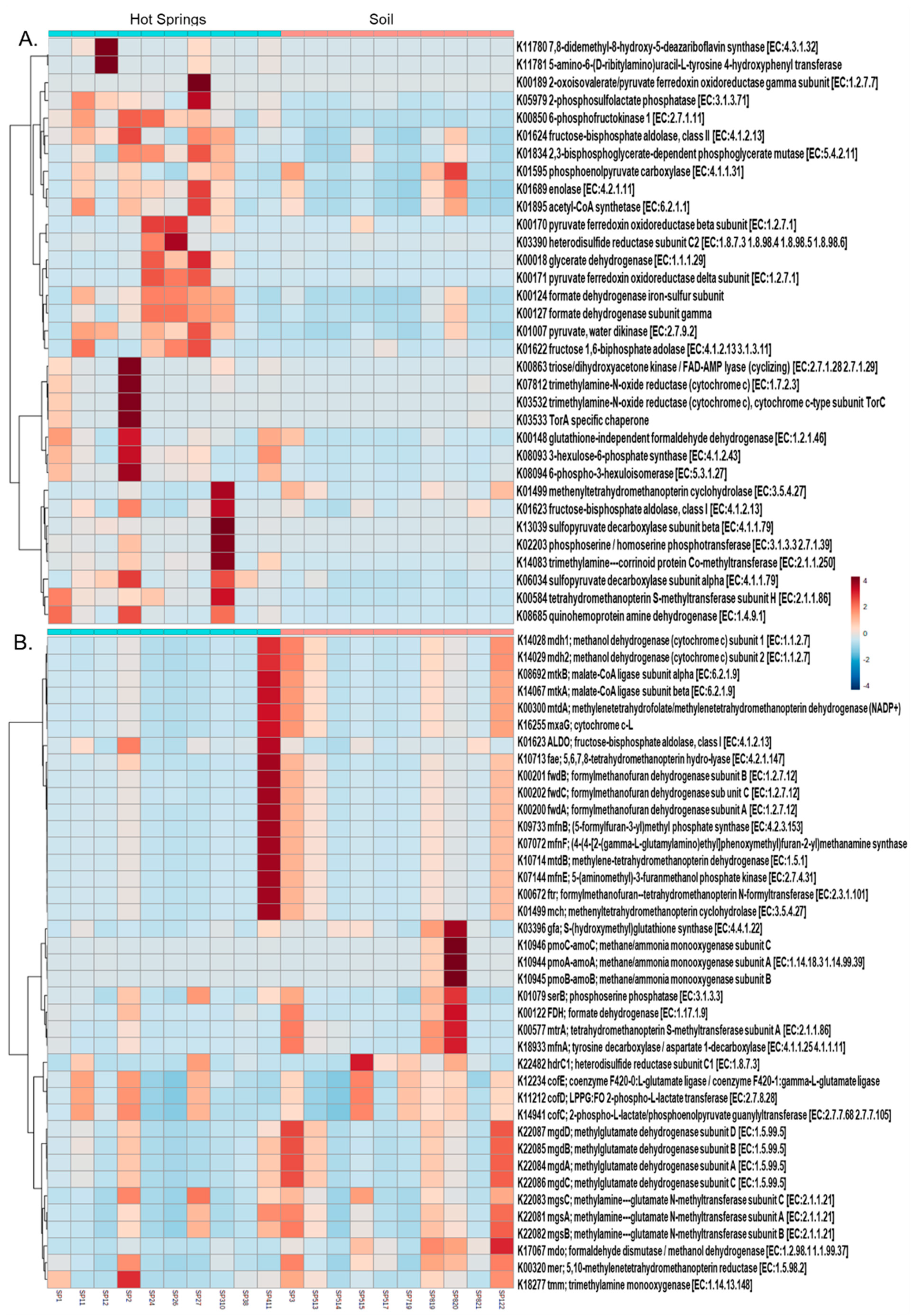 Microorganisms 09 01402 g006 Microorganisms 09 01402 g006