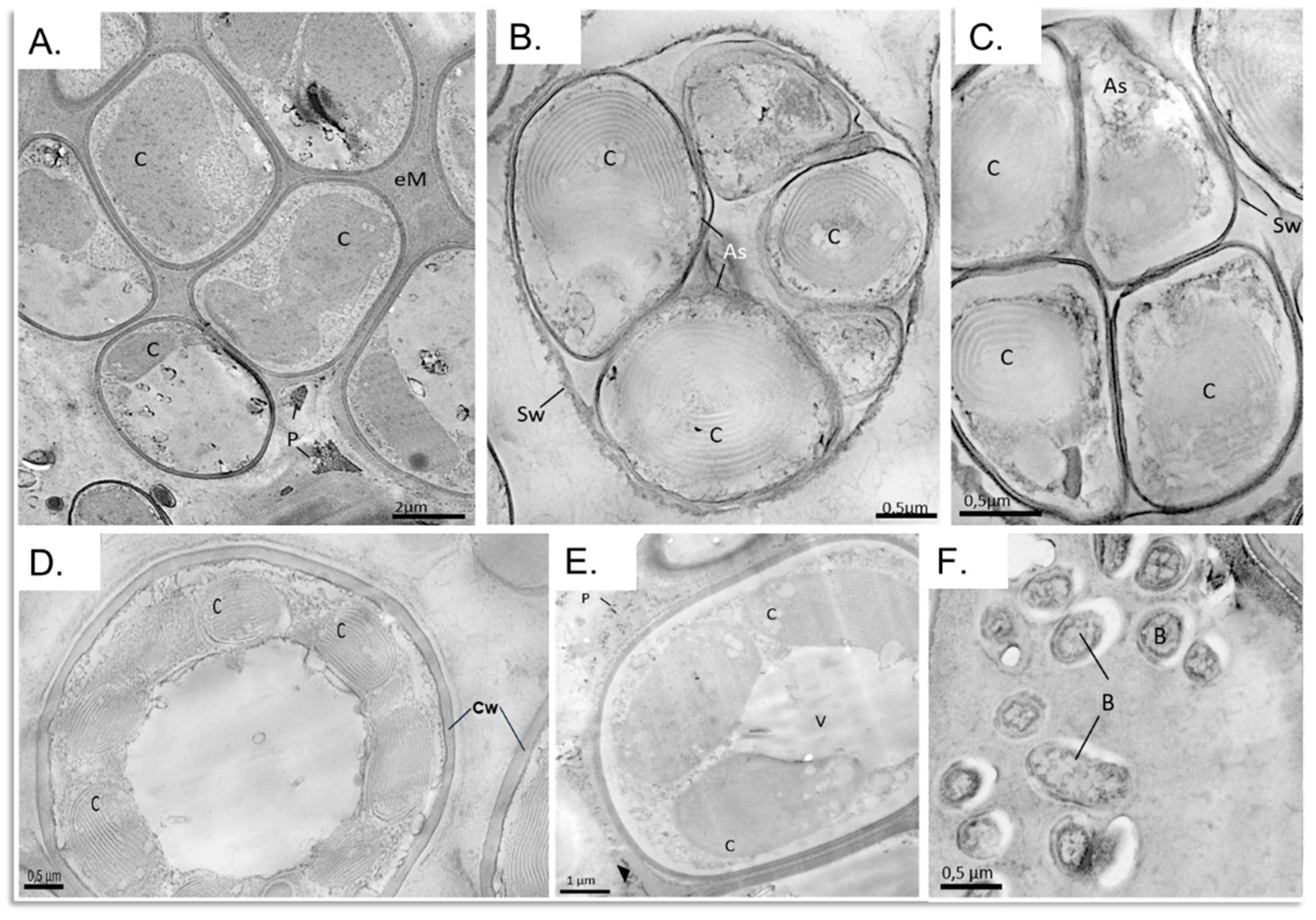 Microorganisms 09 01402 g008 Microorganisms 09 01402 g008