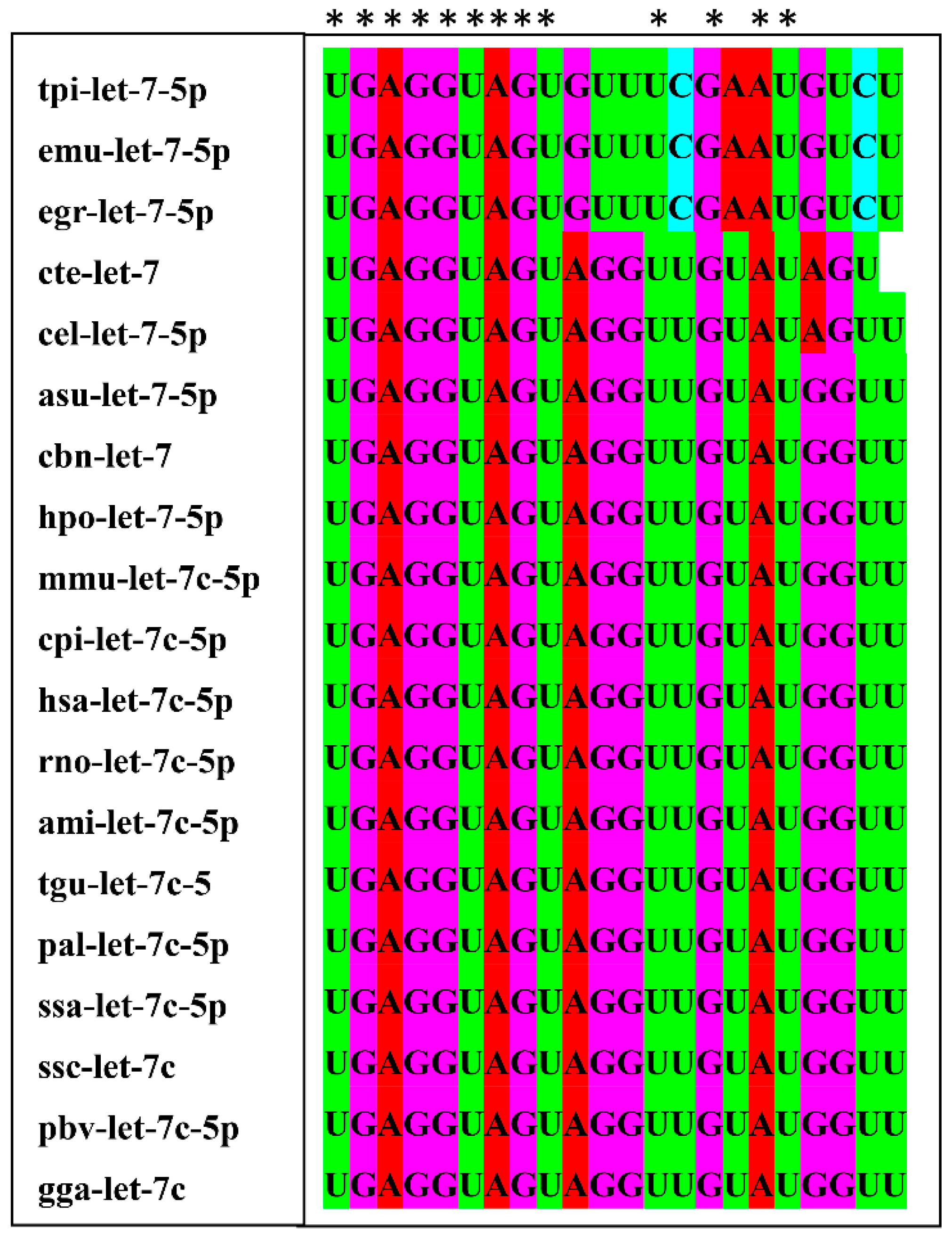 Microorganisms 09 01403 g005
