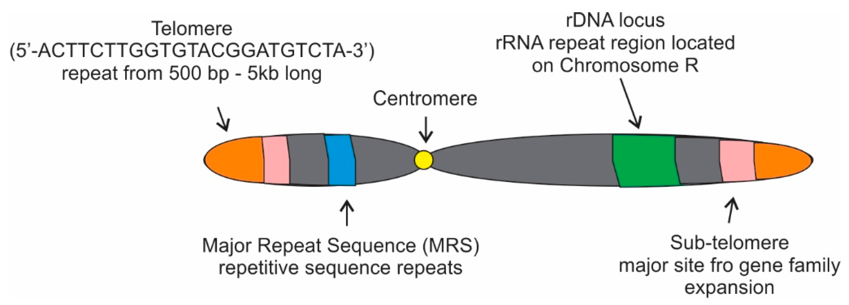 Microorganisms 09 01405 g002