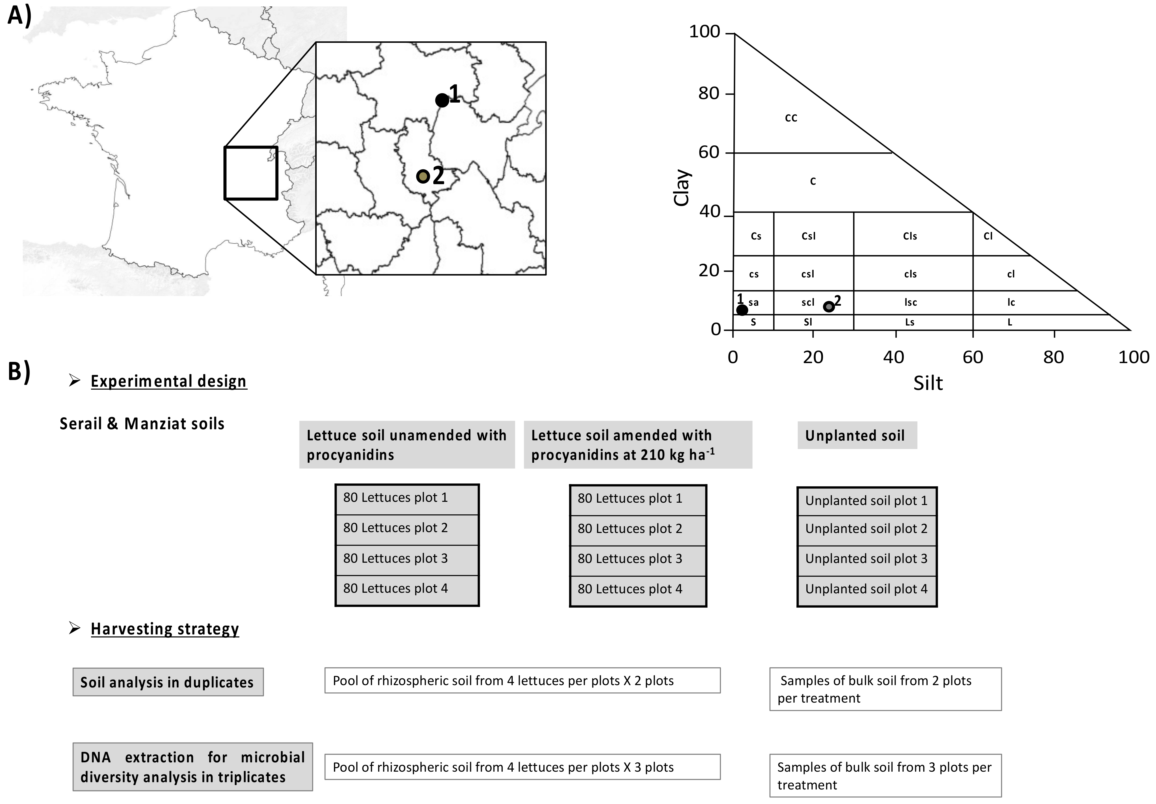 Microorganisms 09 01406 g001