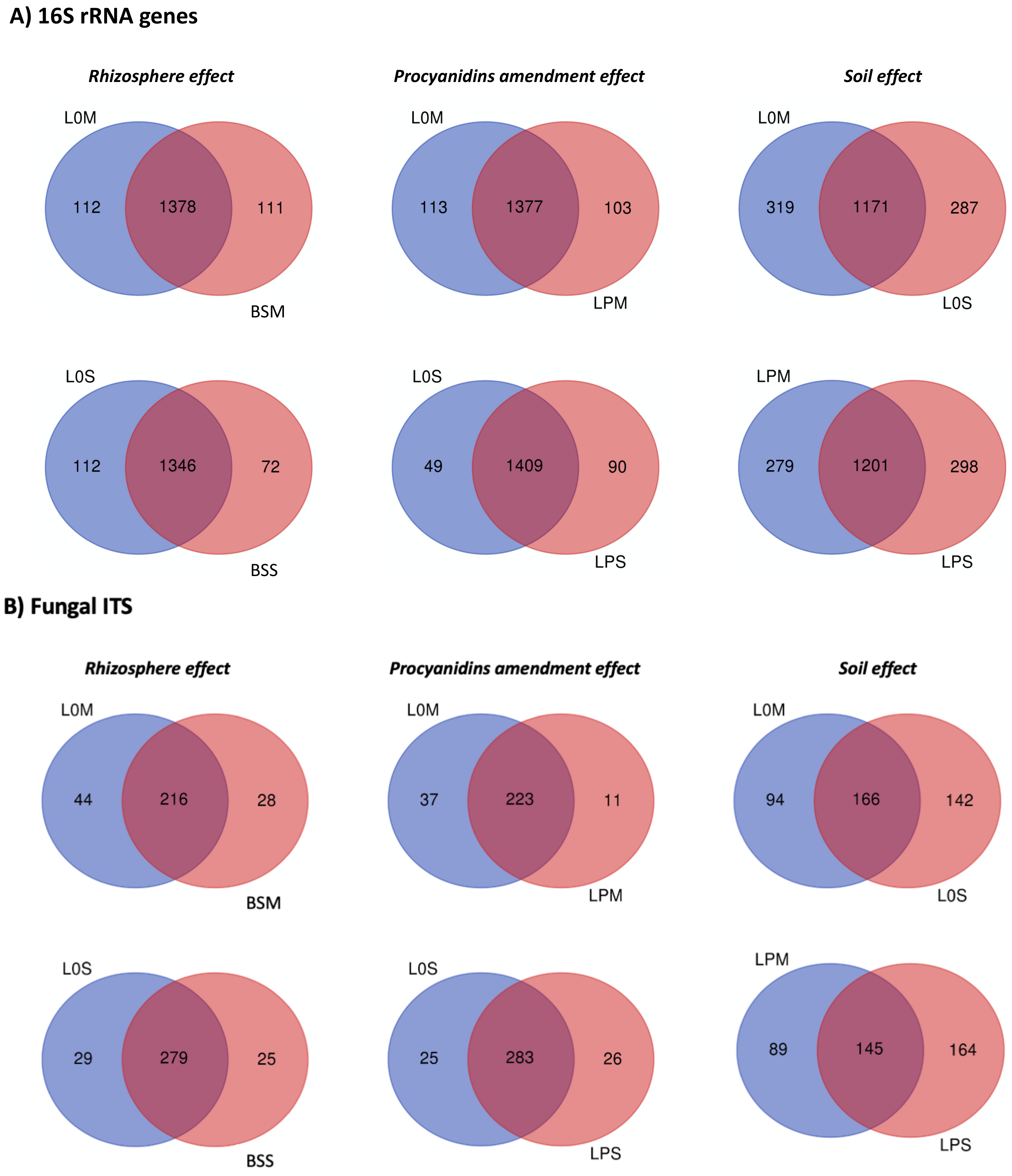 Microorganisms 09 01406 g005