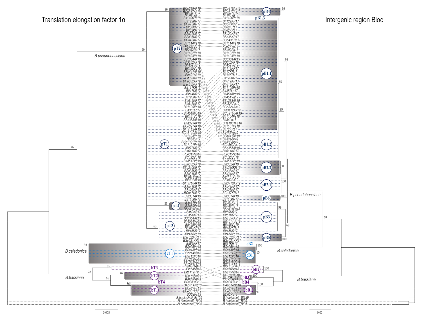 Microorganisms 09 01409 g001