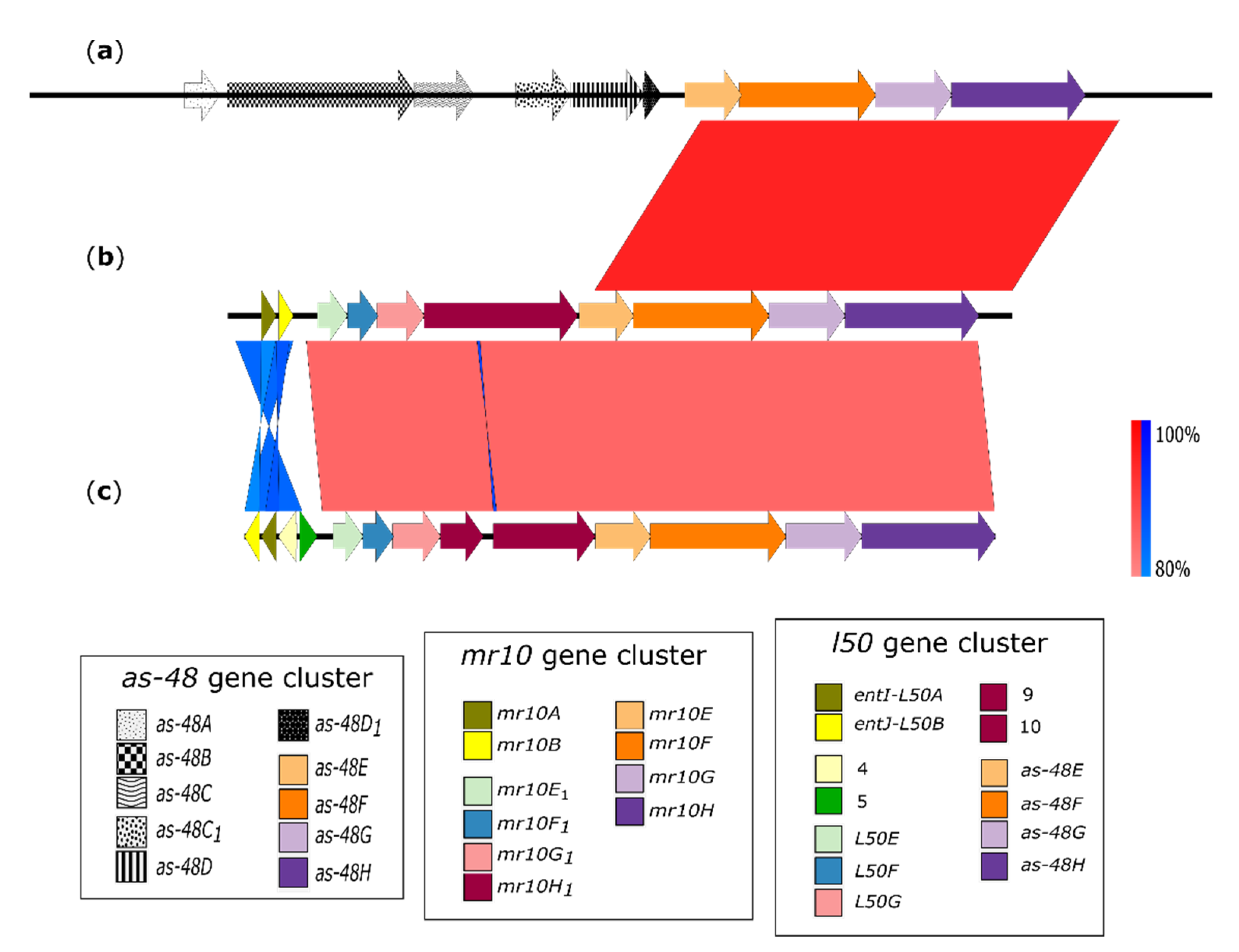 Microorganisms 09 01411 g003