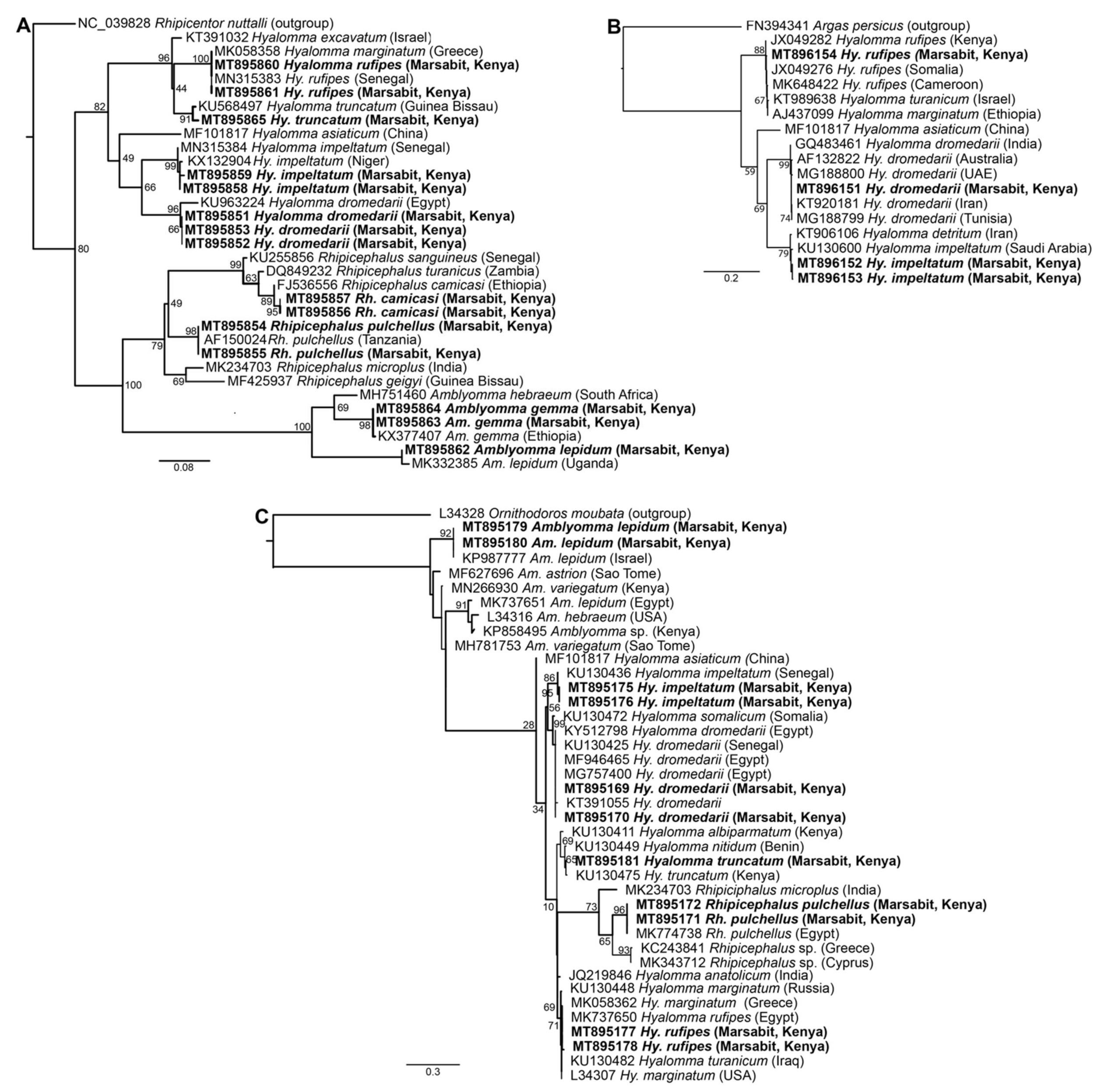 Microorganisms 09 01414 g003 Microorganisms 09 01414 g003