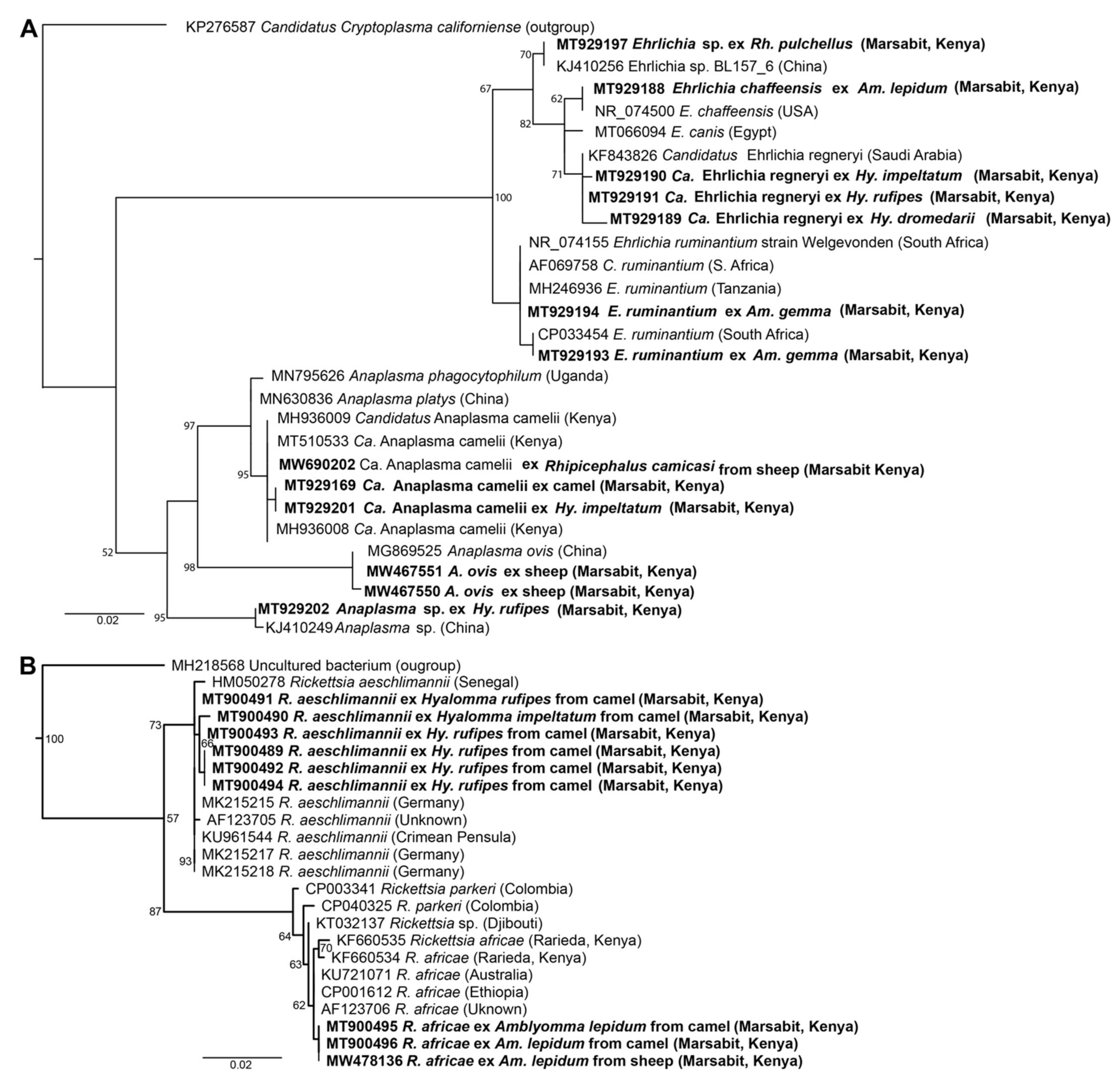 Microorganisms 09 01414 g005 Microorganisms 09 01414 g005