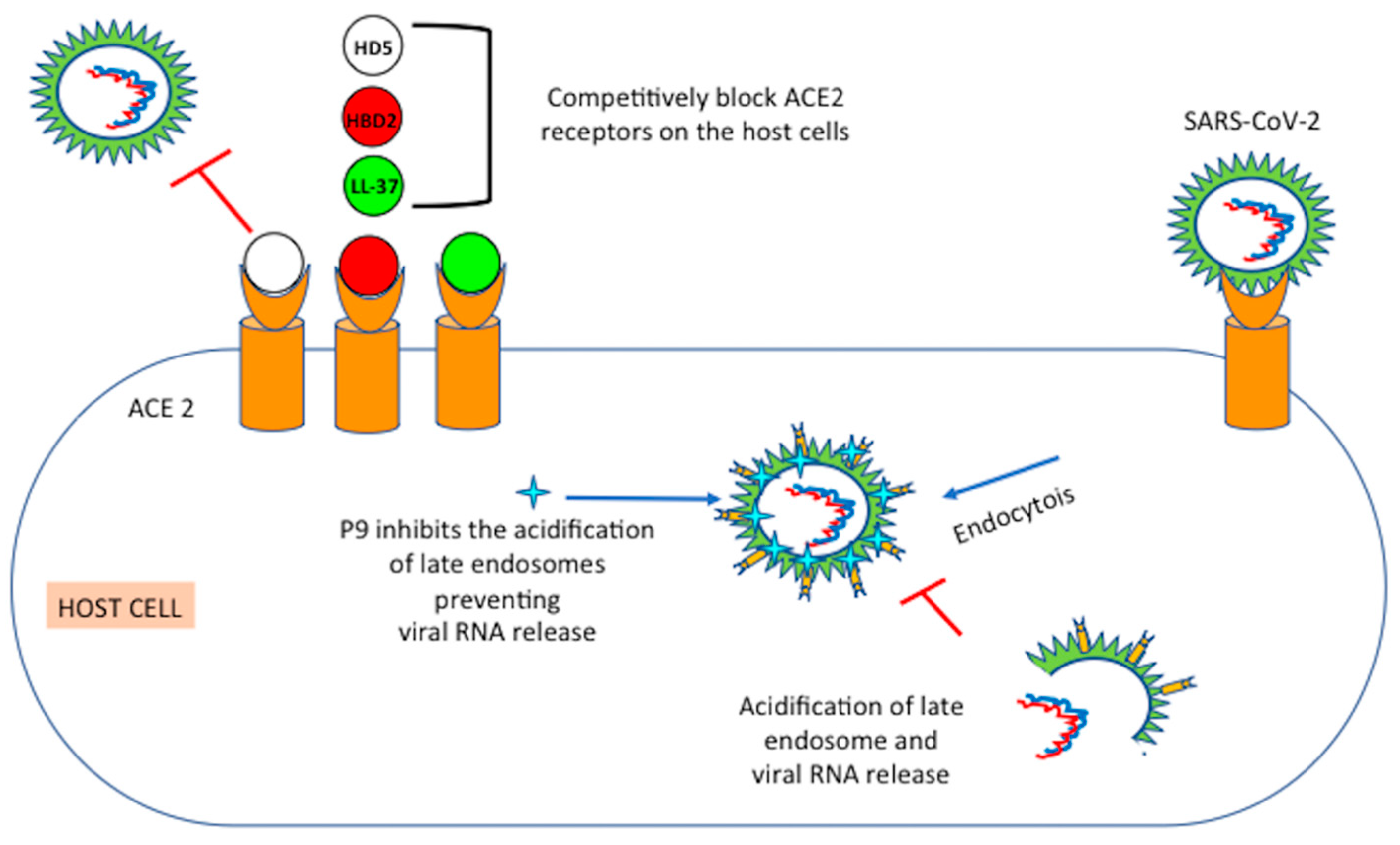Microorganisms 09 01415 g002 550