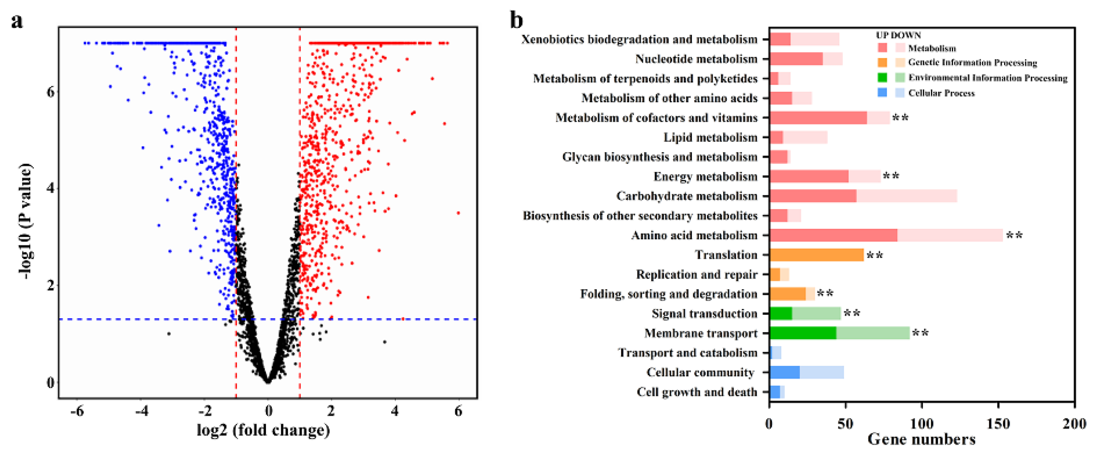 Microorganisms 09 01417 g004 550