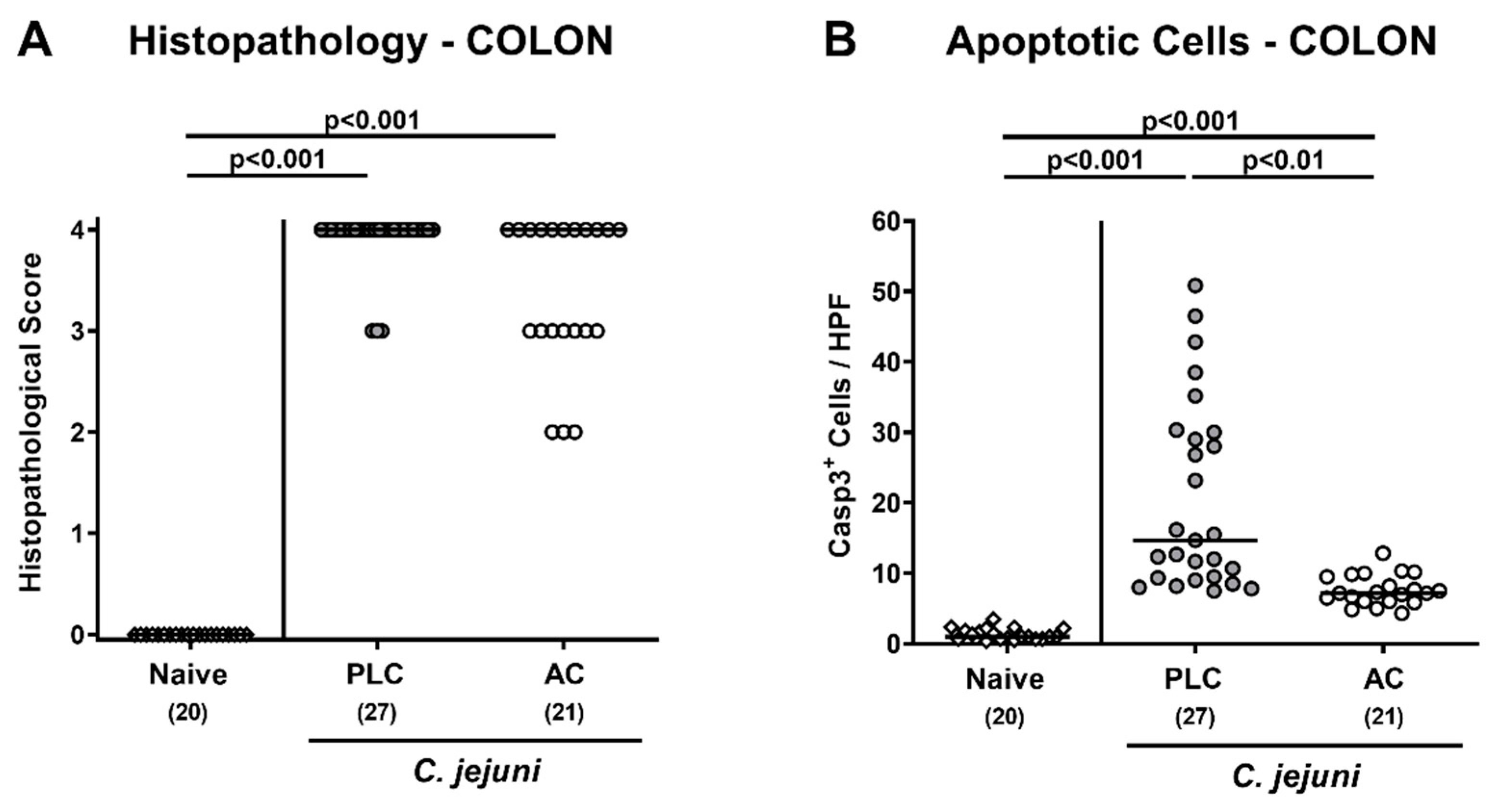 Microorganisms 09 01424 g003 550