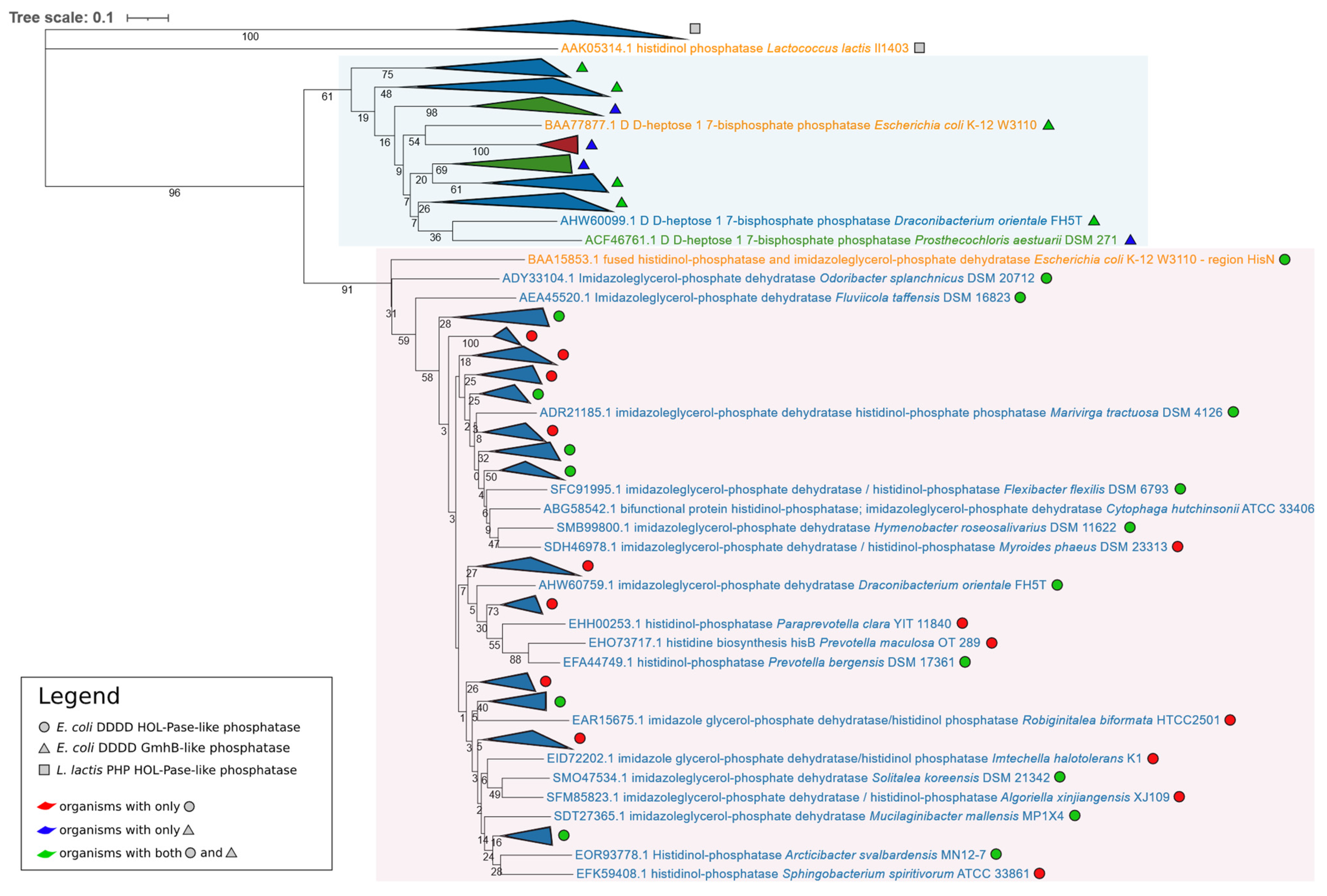 Microorganisms 09 01439 g001