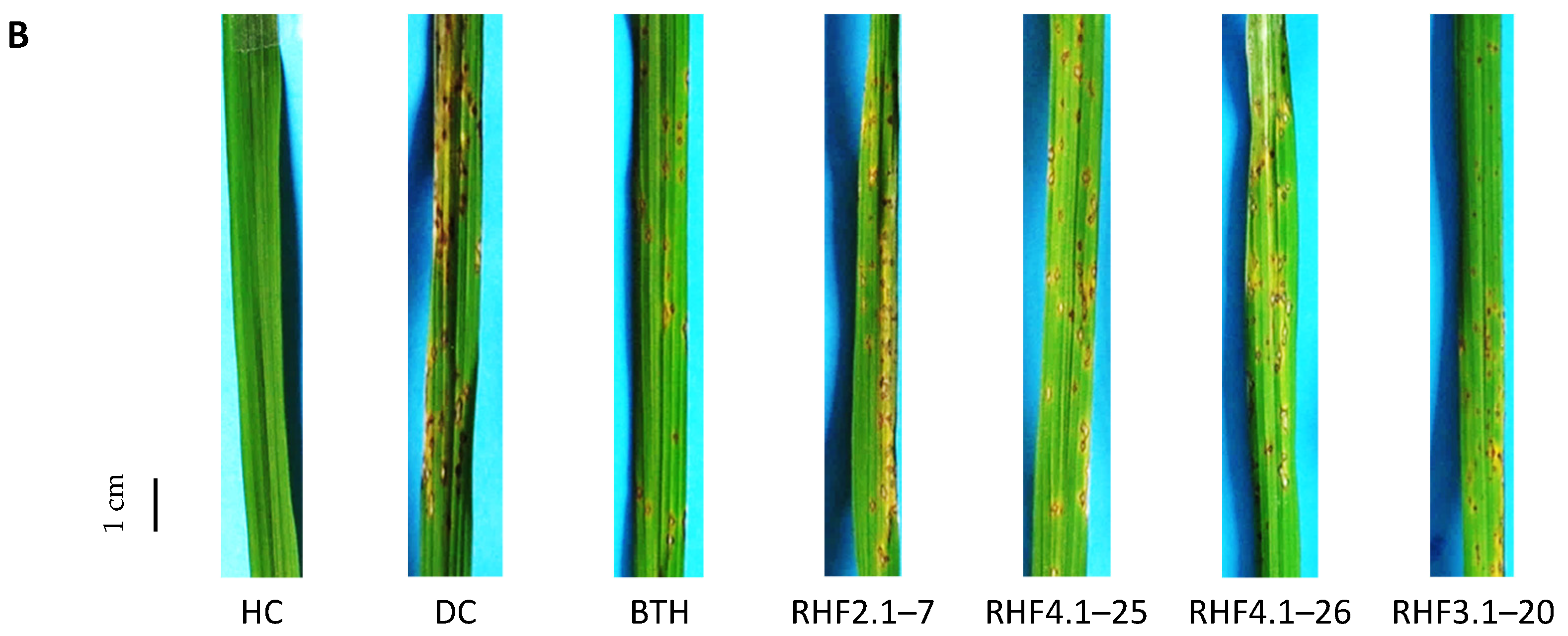 Microorganisms 09 01441 g002b 550