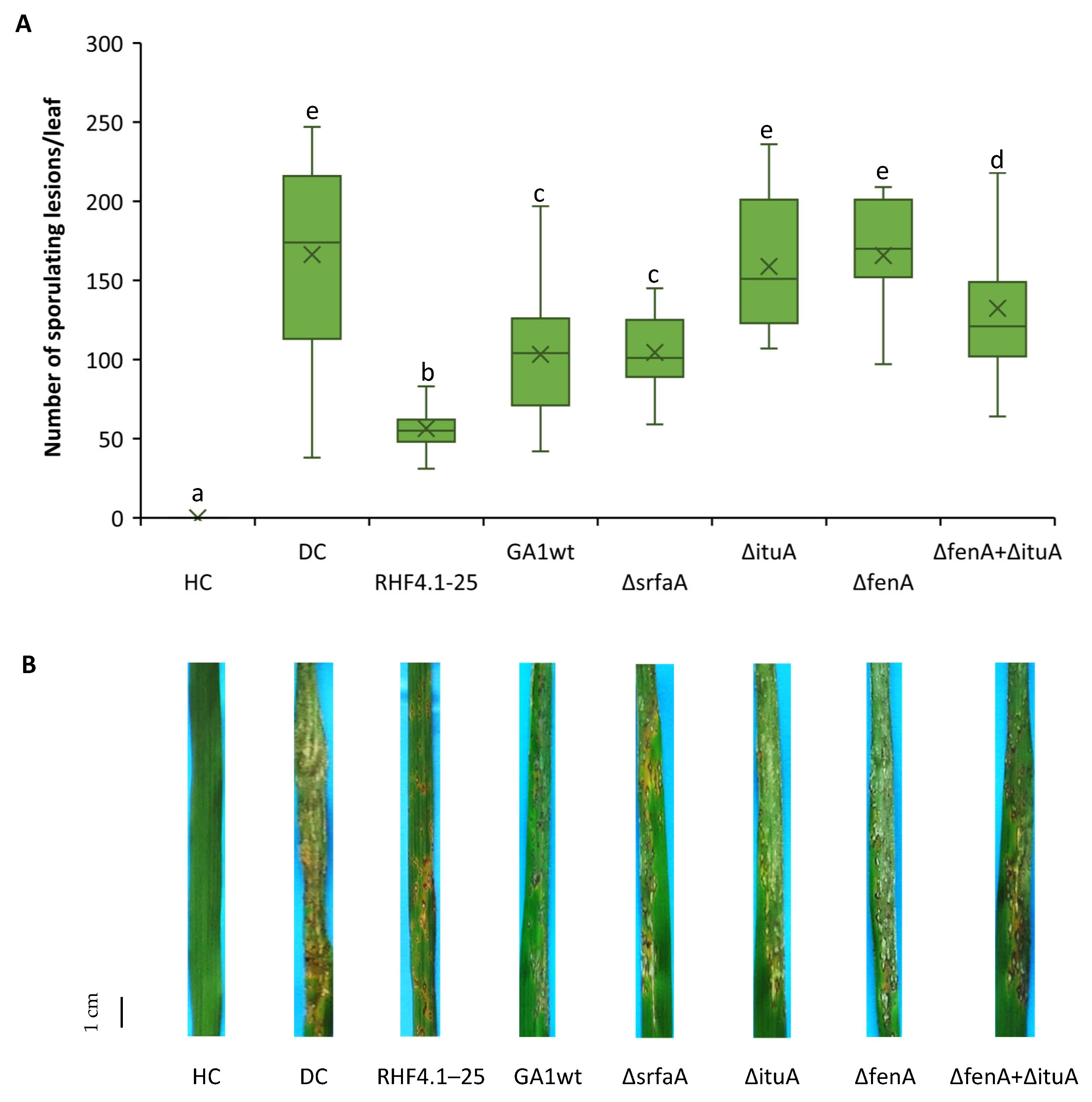 Microorganisms 09 01441 g004 550