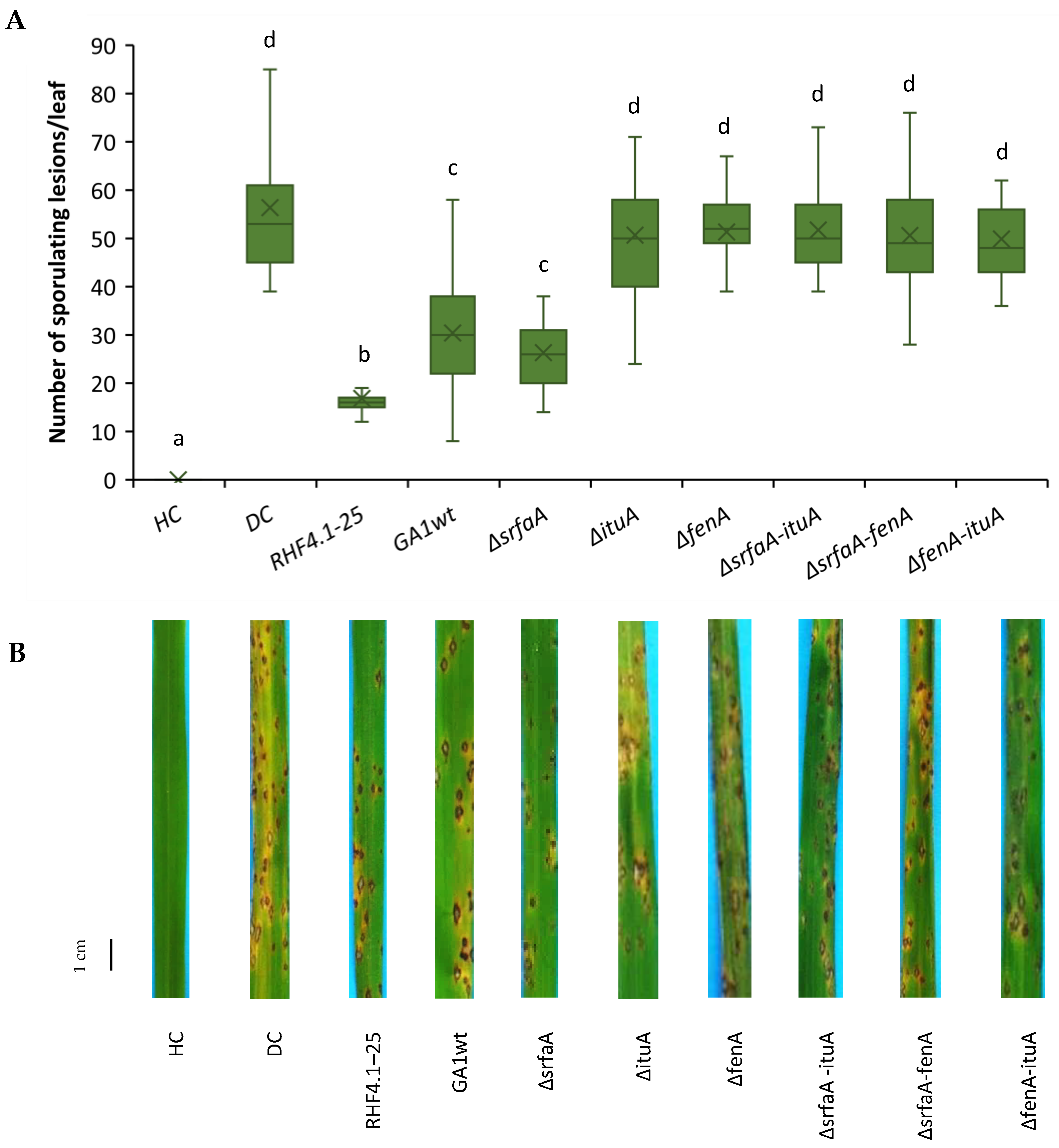 Microorganisms 09 01441 g005 550