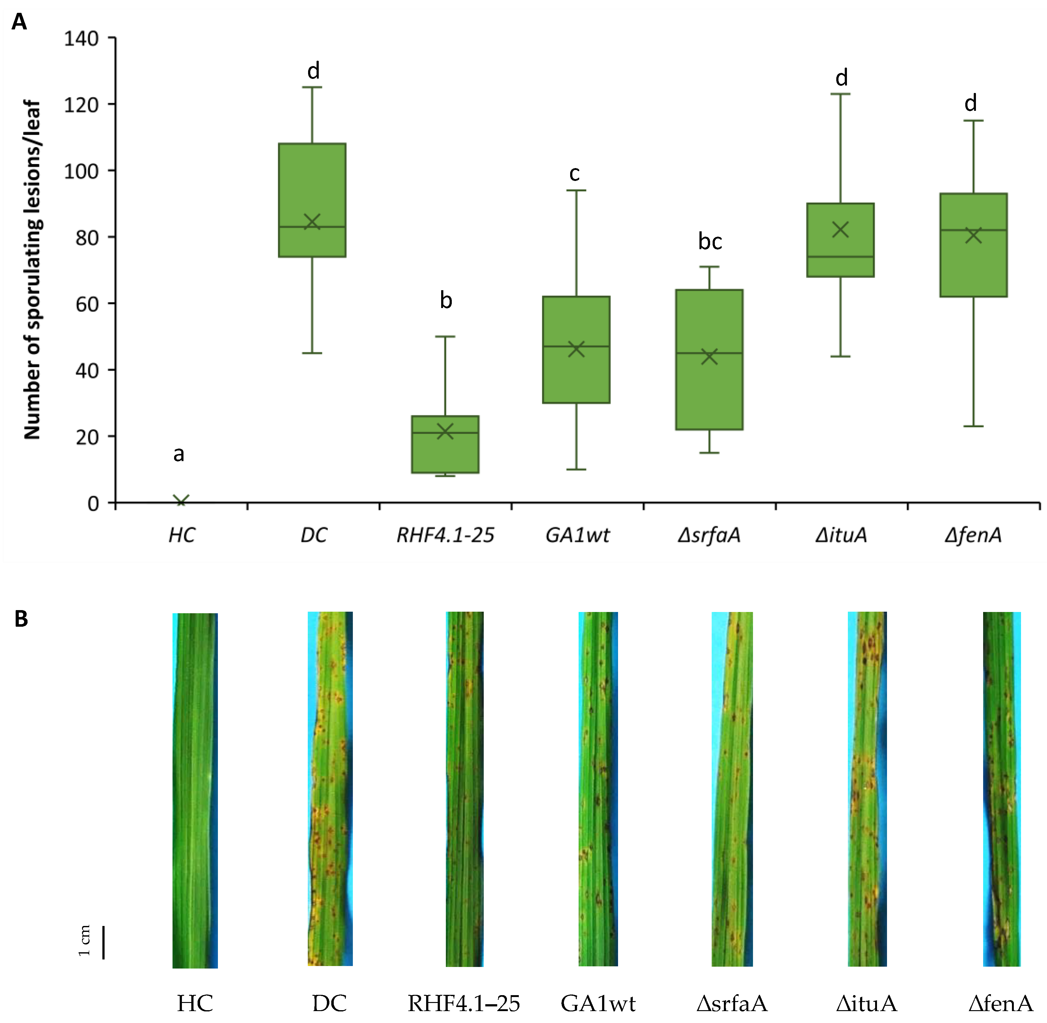 Microorganisms 09 01441 g006 550
