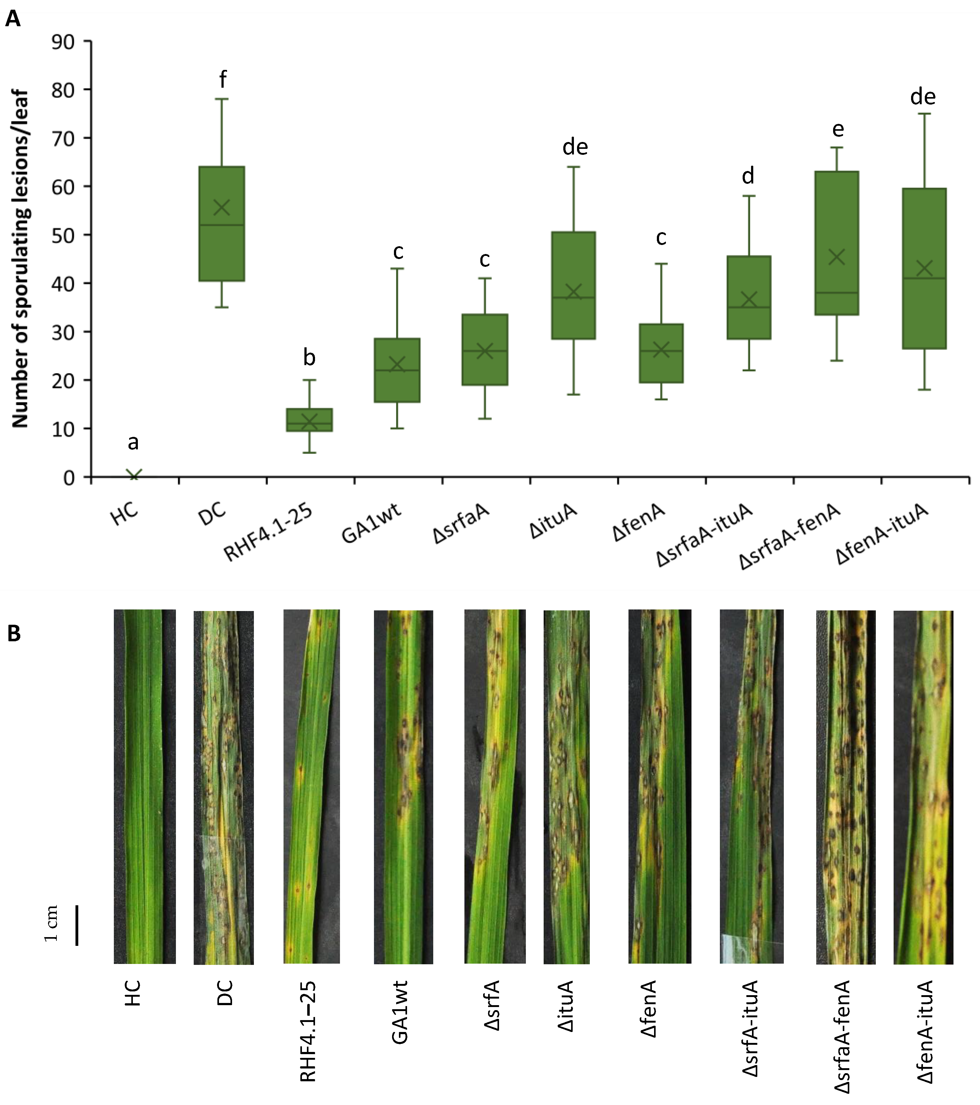 Microorganisms 09 01441 g009 550