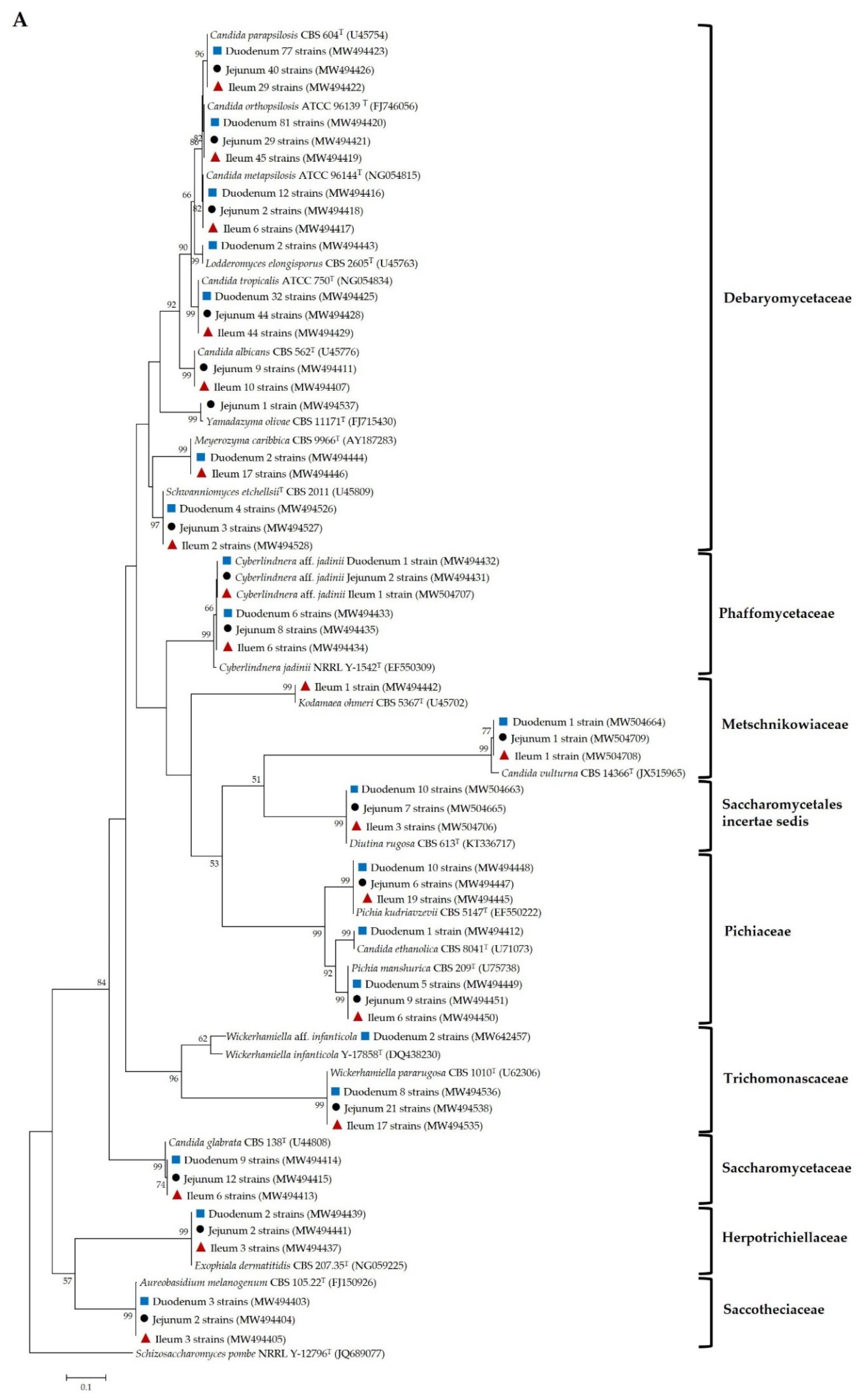 Microorganisms 09 01444 g001a