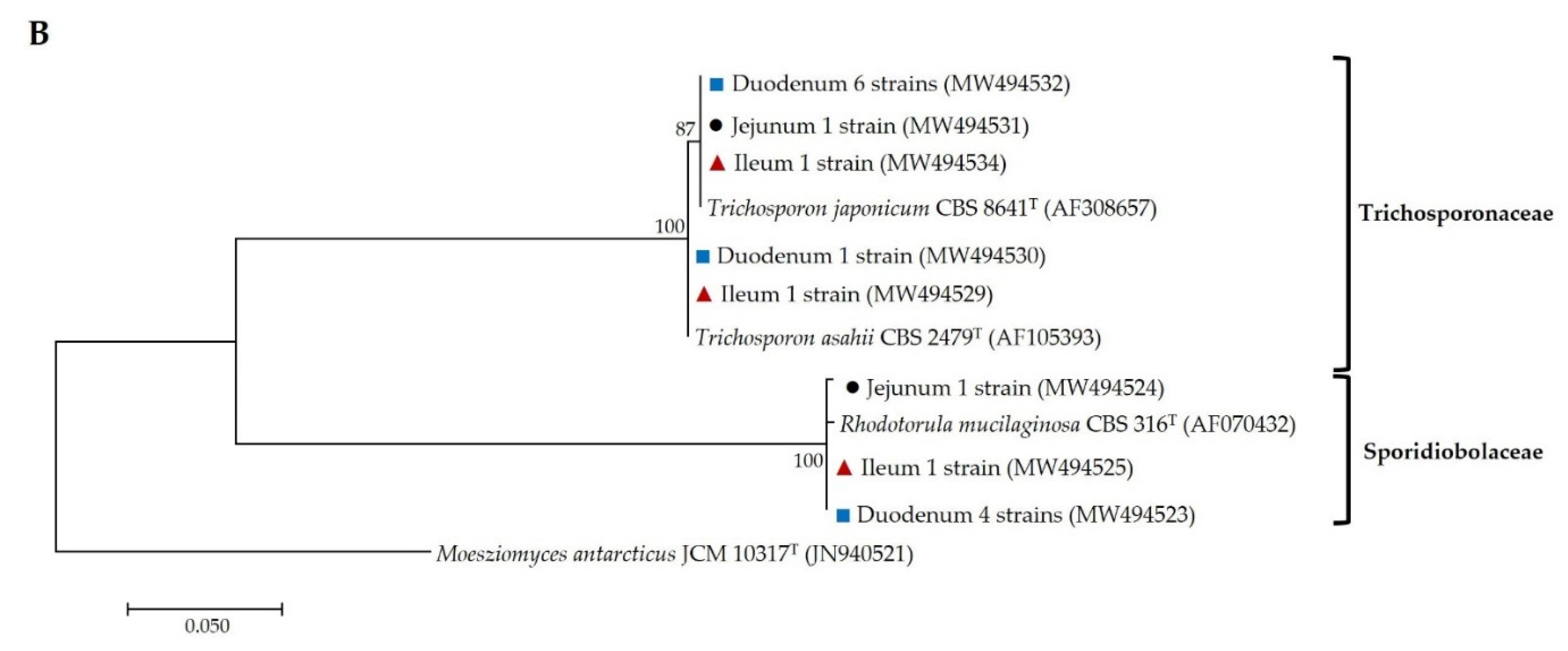 Microorganisms 09 01444 g001b