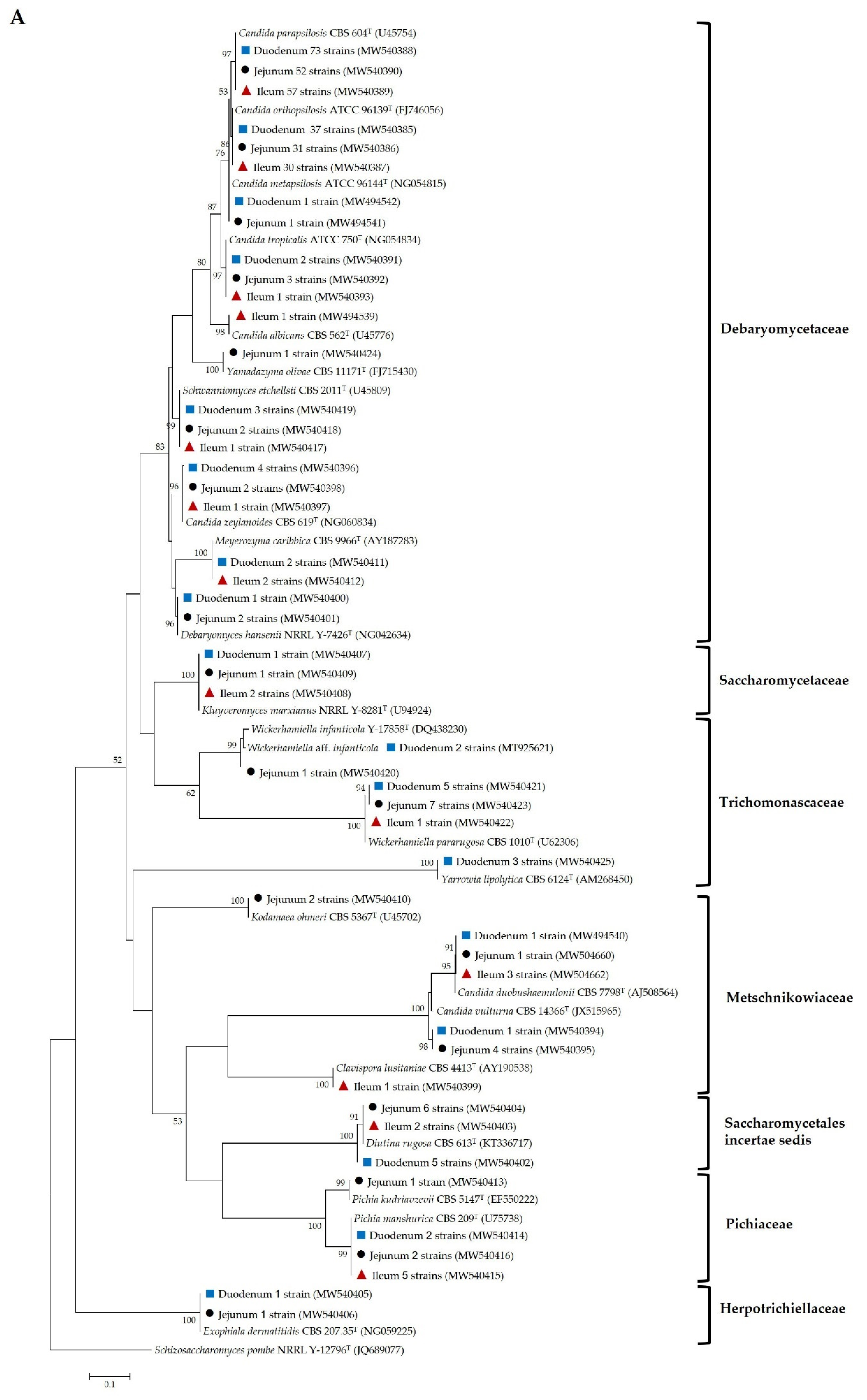 Microorganisms 09 01444 g004a