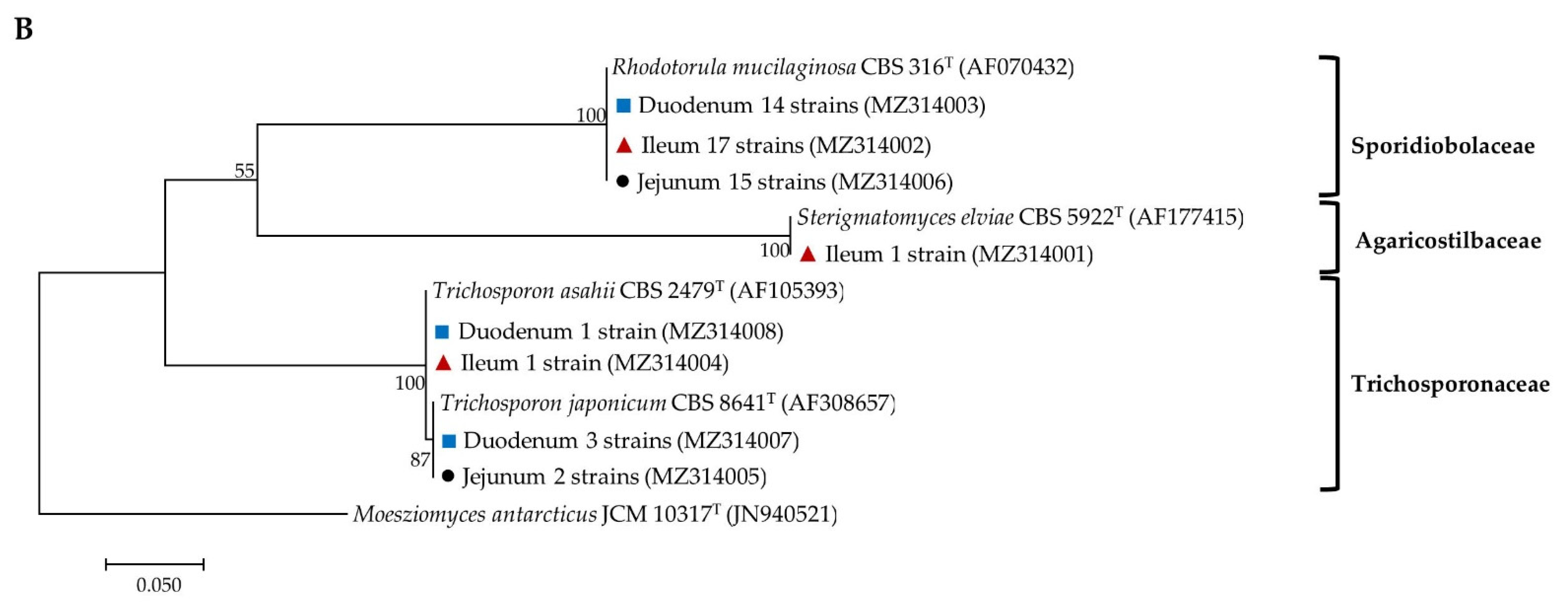 Microorganisms 09 01444 g004b