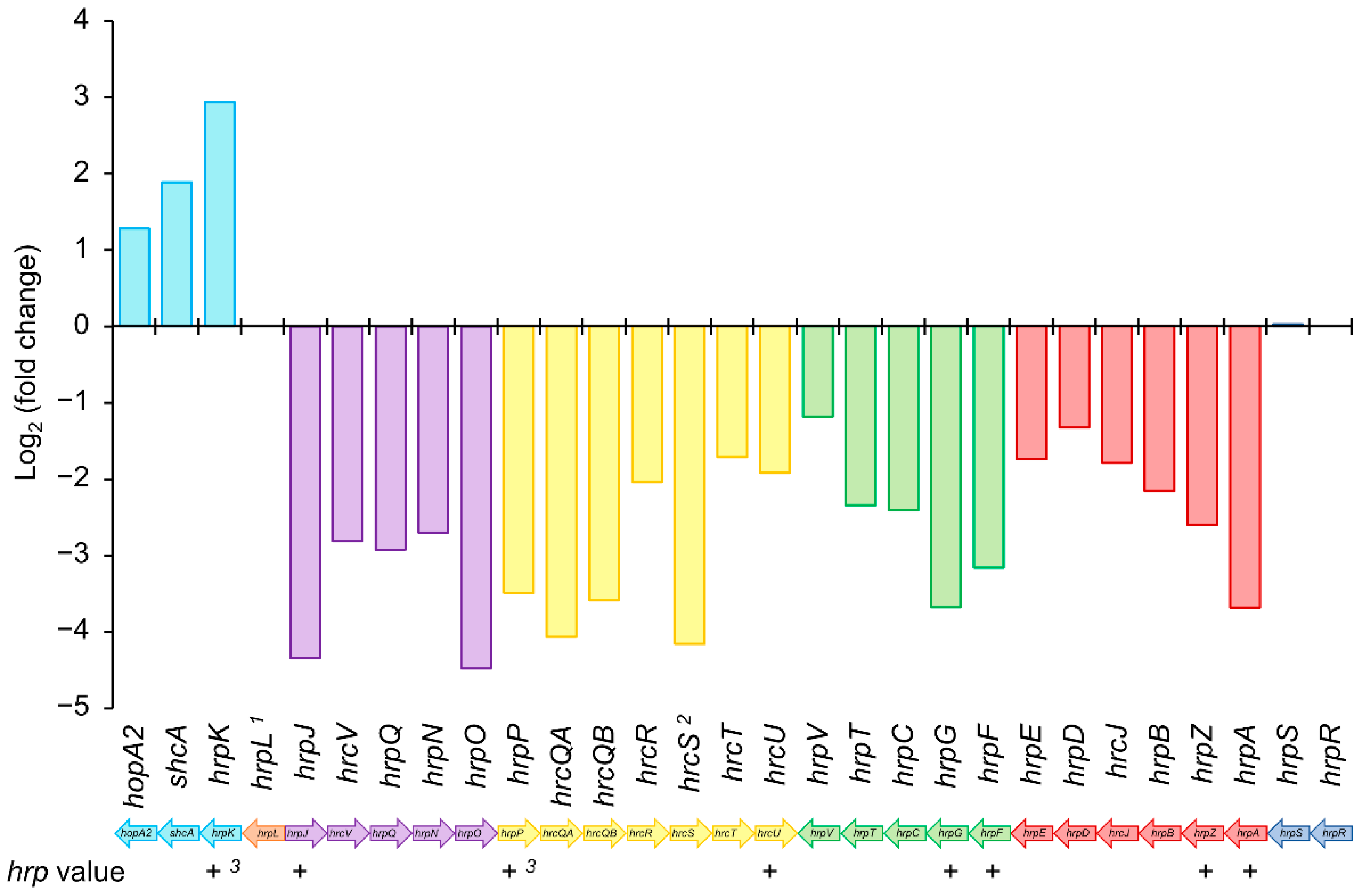 Microorganisms 09 01447 g005 Microorganisms 09 01447 g005